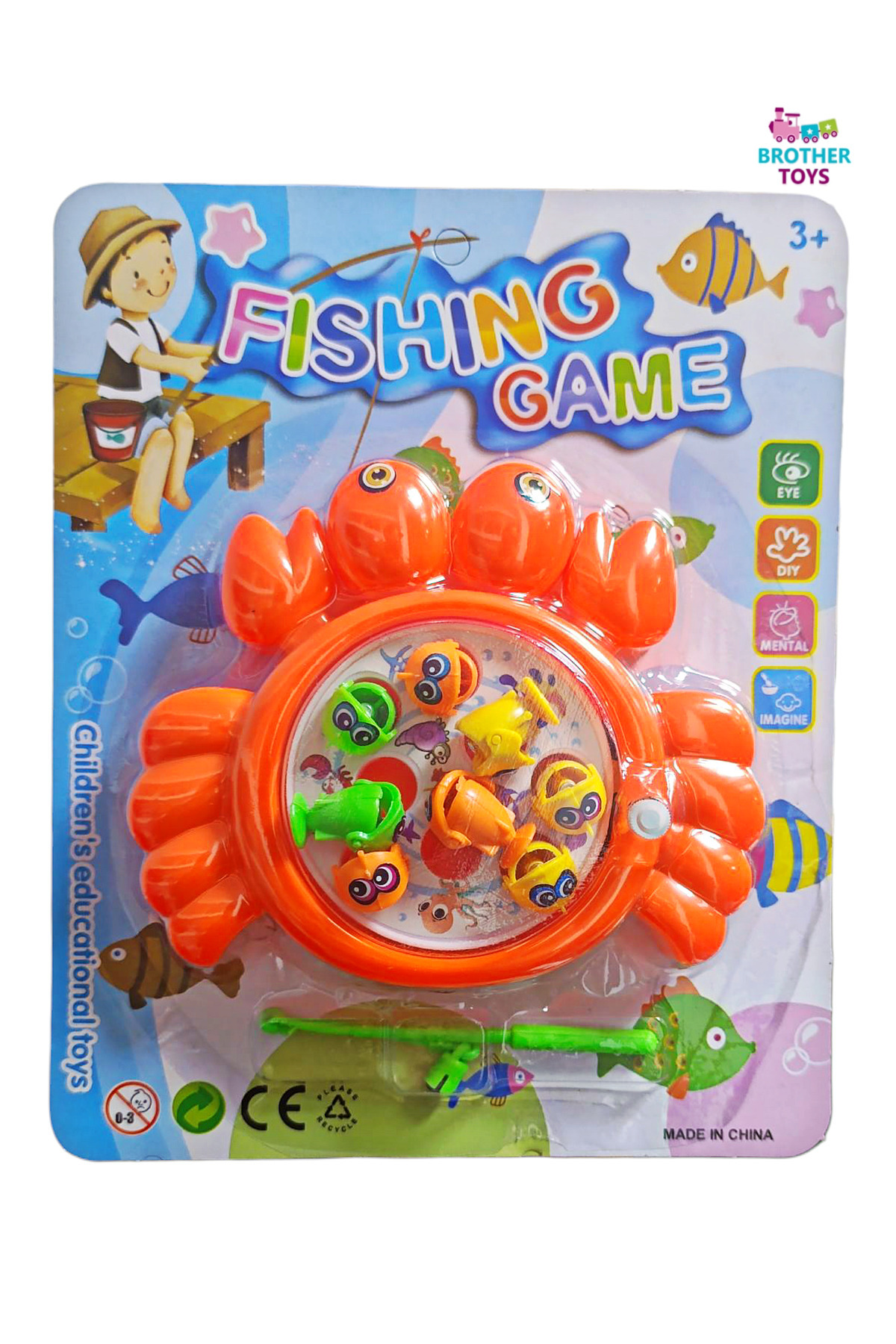 タカラガイセット 1_org_zoom.jpg
