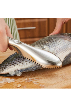 TTT Pratik Balık Pulu Kazıyıcı Aparat