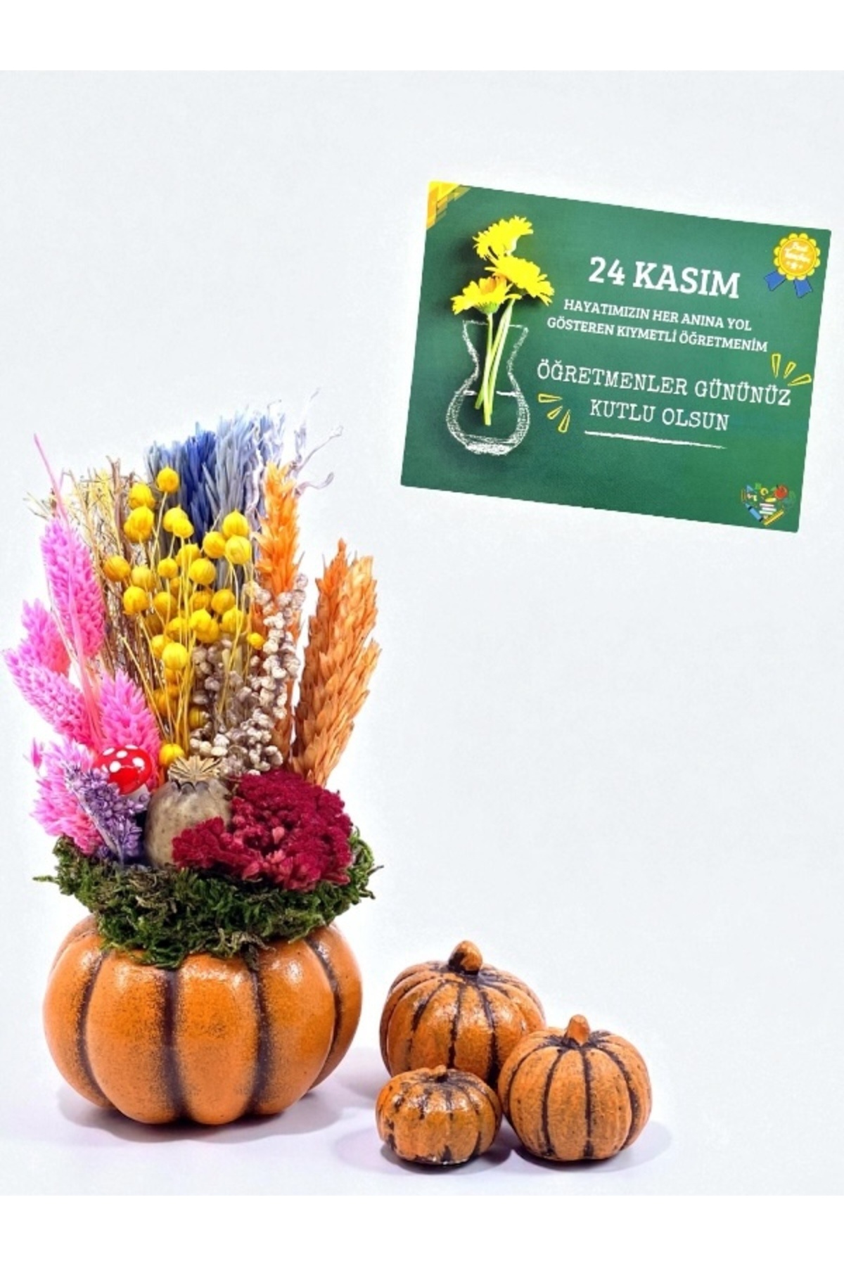 MEGA KANYON Öğretmenler Günü Hediyesi | Kurutulmuş Çiçekli Bal Kabağı Saksı ve 24 Kasım Kartı