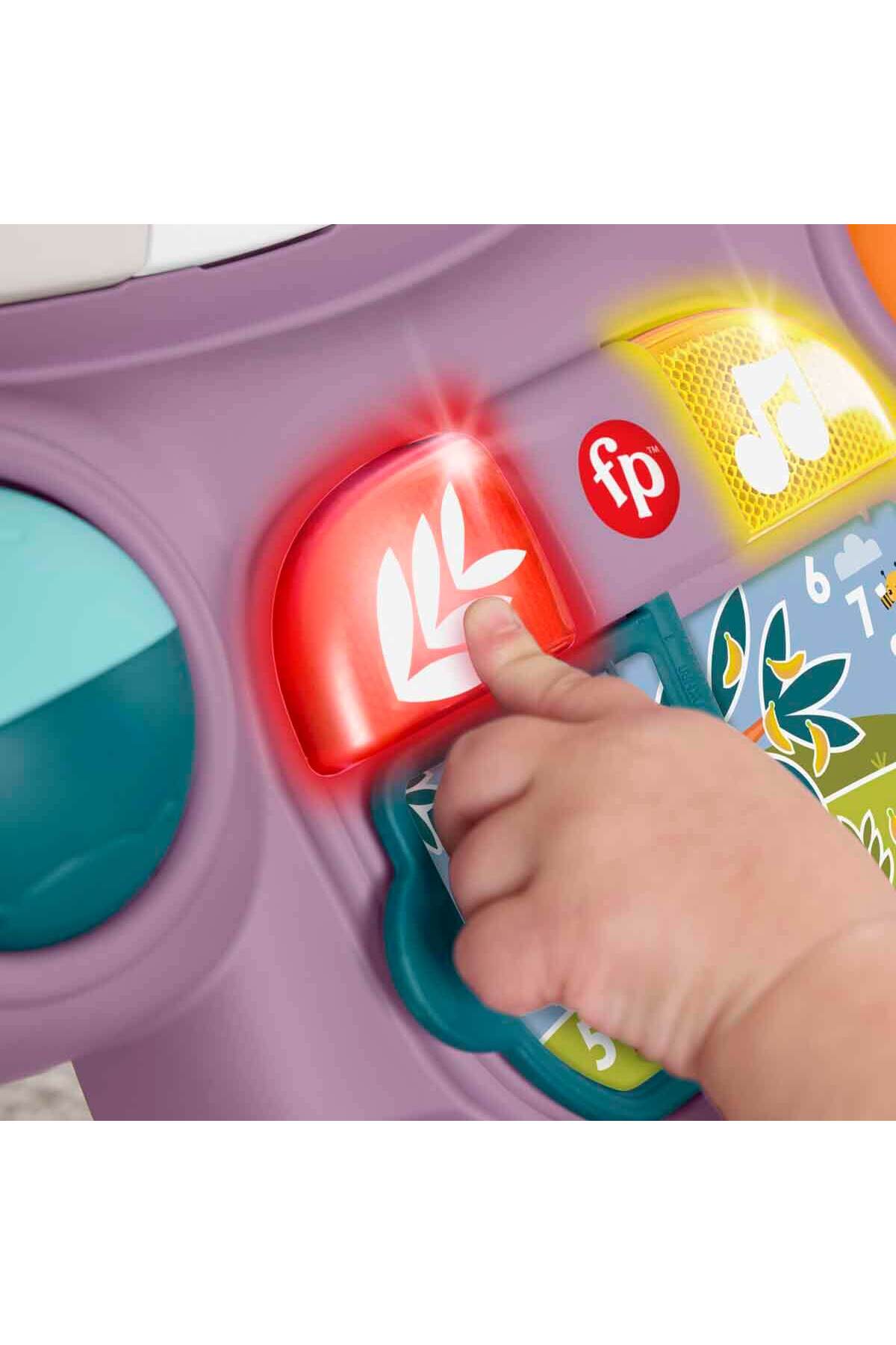 Fisher Price Sesli ve Işıklı Benimle Öğren Mor Maymun Yürüteç JGW94 fotoğrafı 6 (önizleme)