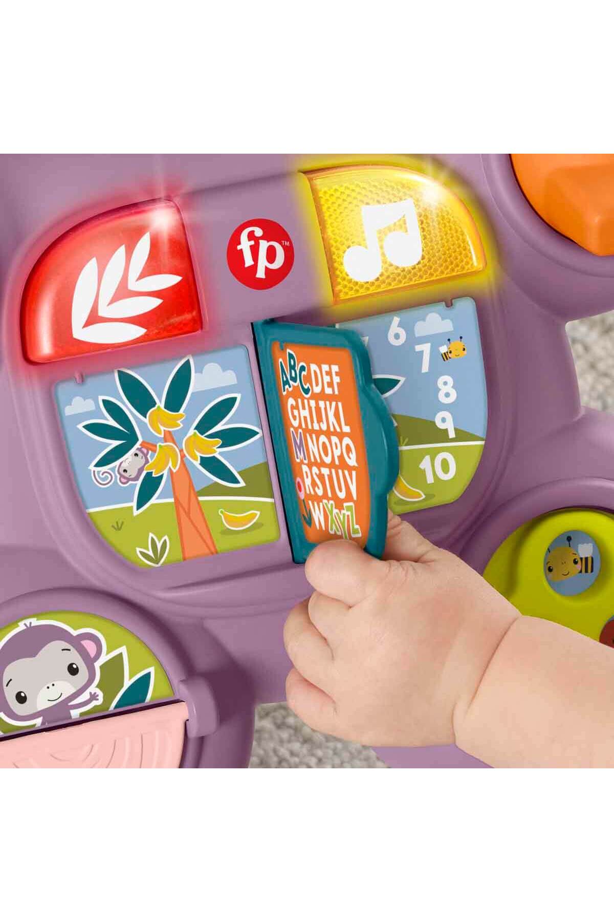 Fisher Price Sesli ve Işıklı Benimle Öğren Mor Maymun Yürüteç JGW94 fotoğrafı 4 (önizleme)