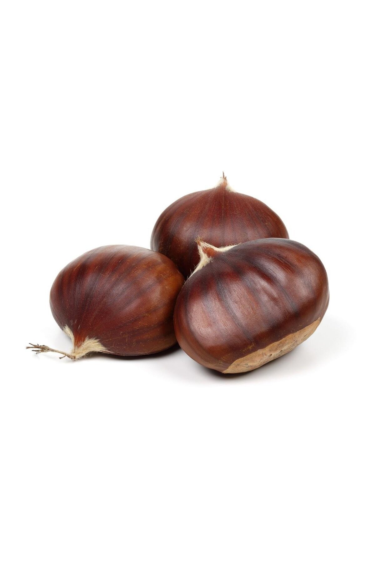 DOKUZLAR İri Boy Aydın Kestane 2025 Mahsul - Aydın Şekerci Kestane 1000 Gram