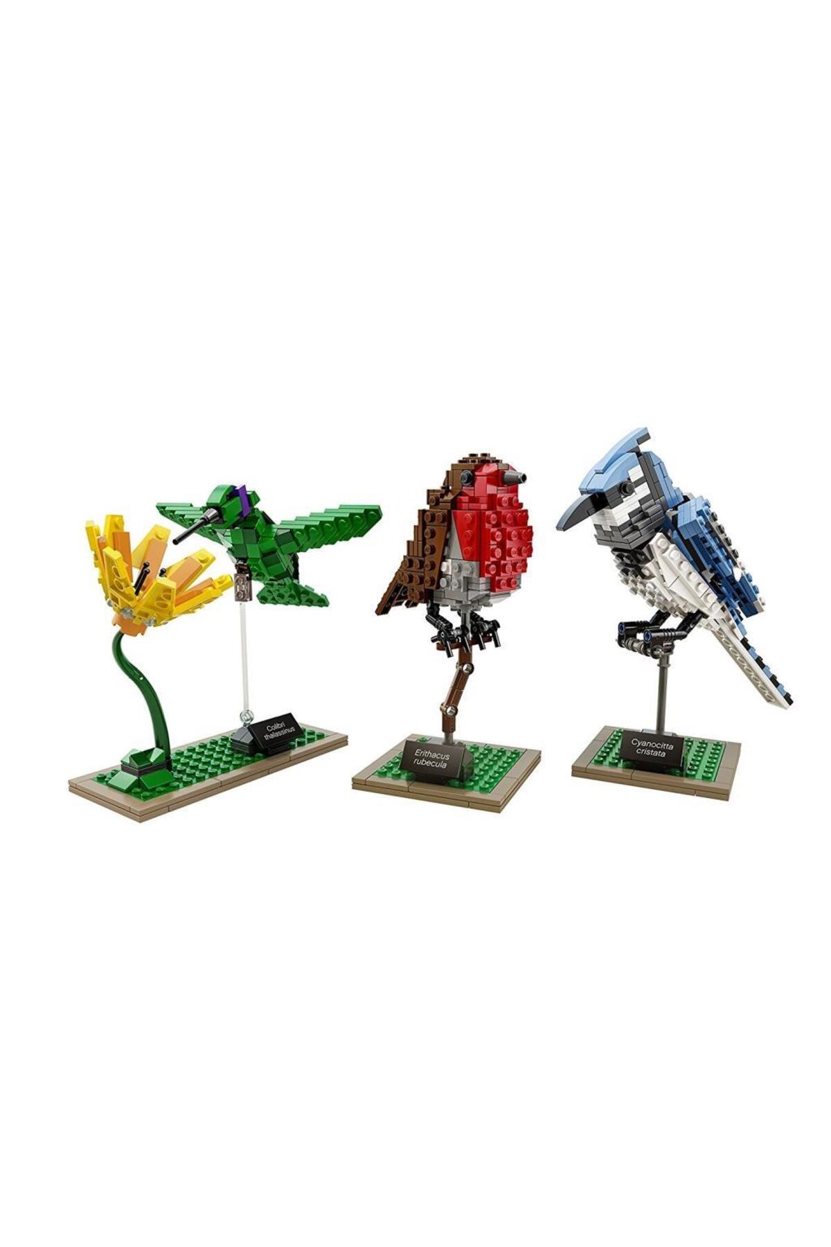 LEGO Ideas 21301 Birds fotoğrafı 3 (önizleme)