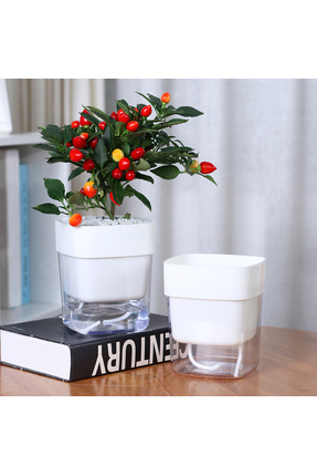 Saksıdan Sofraya Kendinden Sulamalı Şeffaf Hazneli Kare Akıllı Saksı