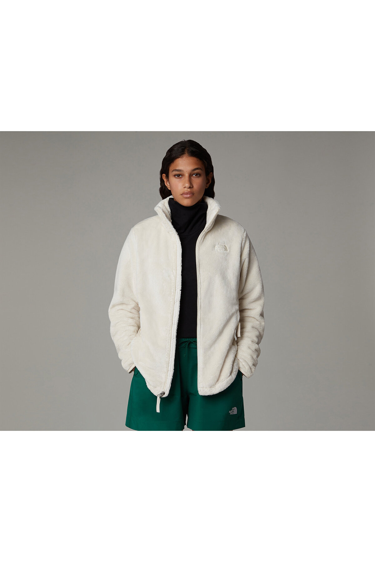 Full Zip Tam Fermuarlı Günlük Kullanıma Uygun Kışlık Polar Sweatshirt Renkli — رنگارنگ TNFWNTRSWEAT-FZ0.1 — تصویر 5 از 6