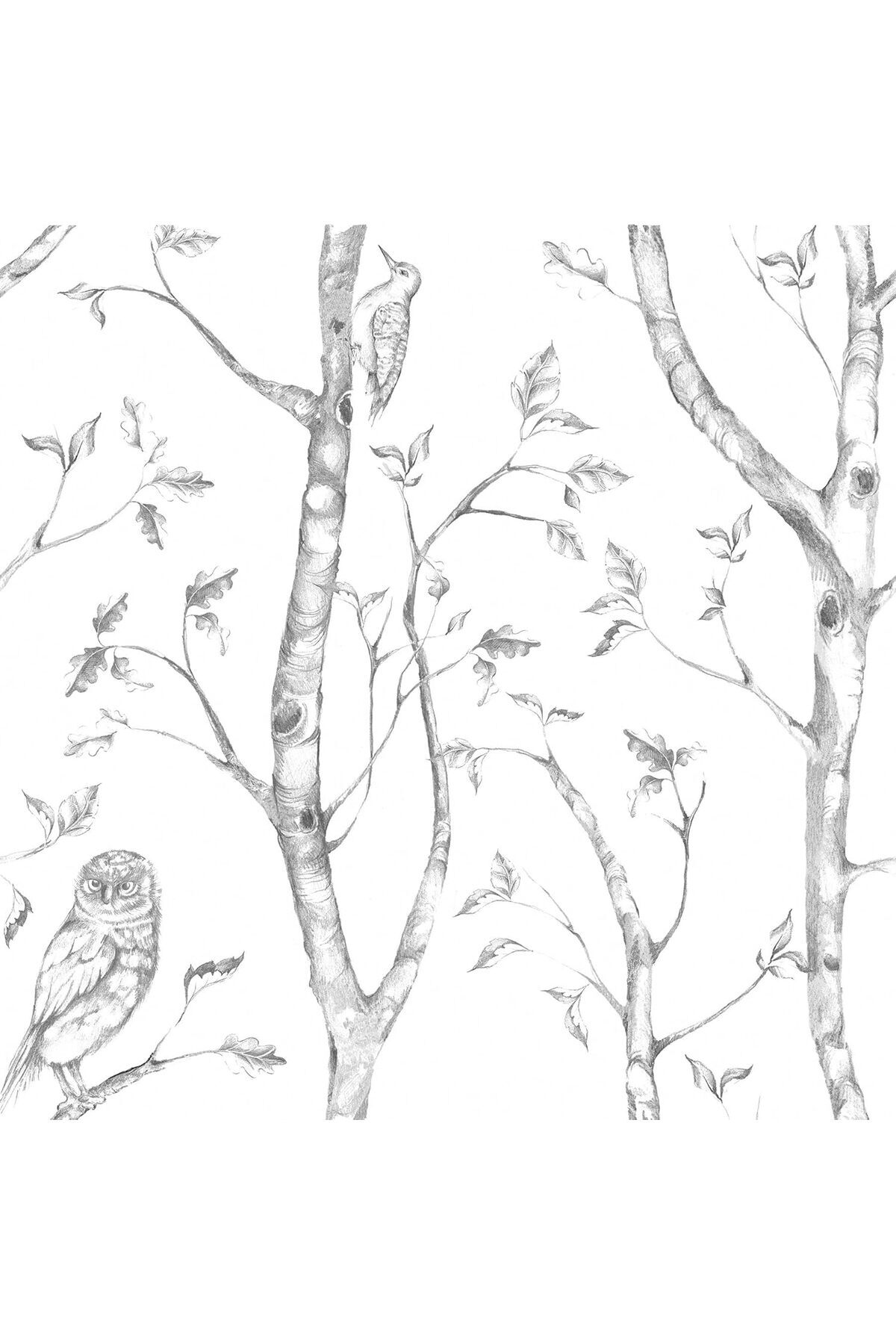 Savings Sphere "Gri " soyun ve çıkartın duvar kağıdı