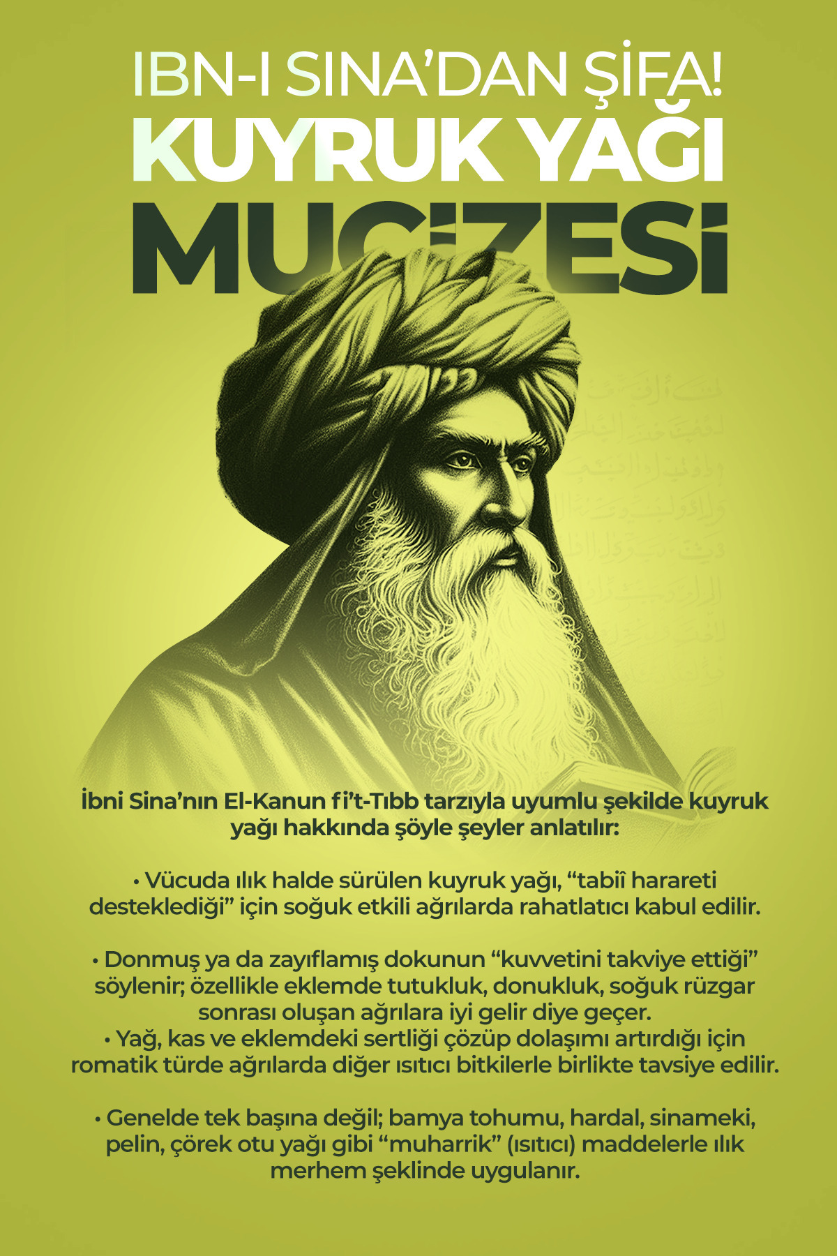 İBNİ SİNADANKuyruk Yağı Masaj Kremi – Kas Rahatlatıcı ve Nemlendirici Bakım 1+1 2LI Paket — 0002 — تصویر 2 از 3