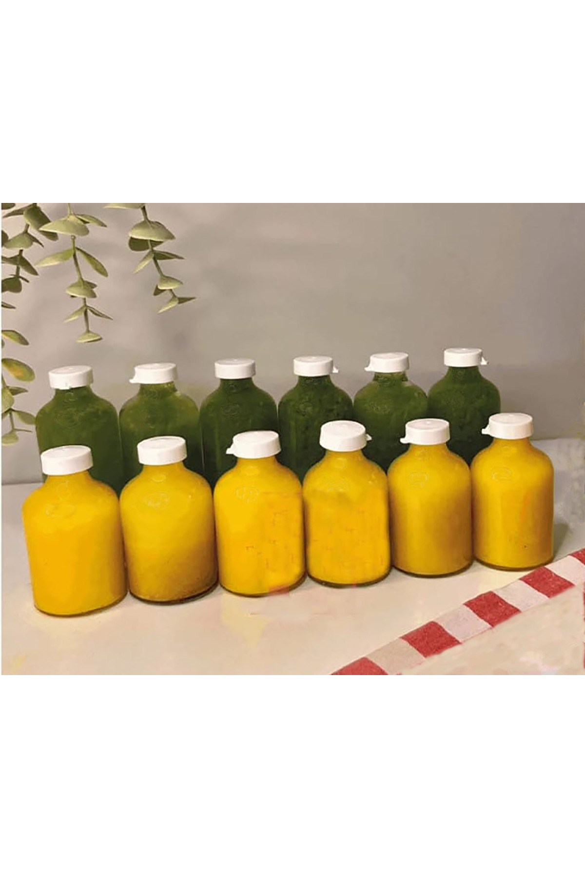 Sampex 10 Adet Round Cam Ginger Shot Detox Şişesi Sızdırmaz Plastik Kapaklı Çok Amaçlı 50ml