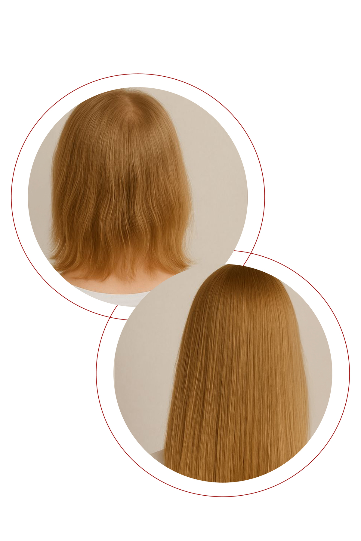 Pirinç Proteini ve Keratin İçeren Dökülme Karşıtı ve Hızlı Uzama Destekli Onarıcı Şampuan — HWSRS01 — تصویر 5 از 7