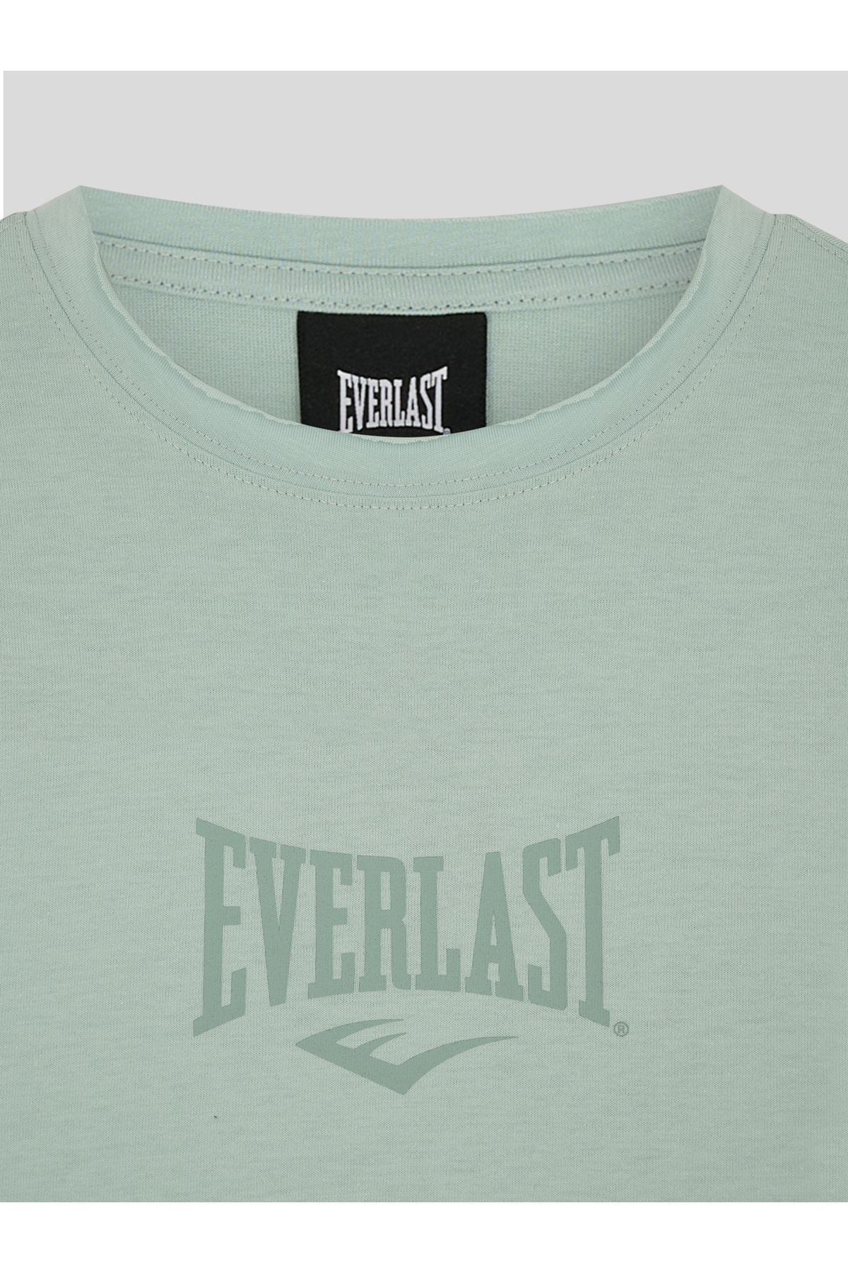 EVERLAST Comp Logo Regular Kesik Yaka Su Yeşili Erkek Tişört görsel 3