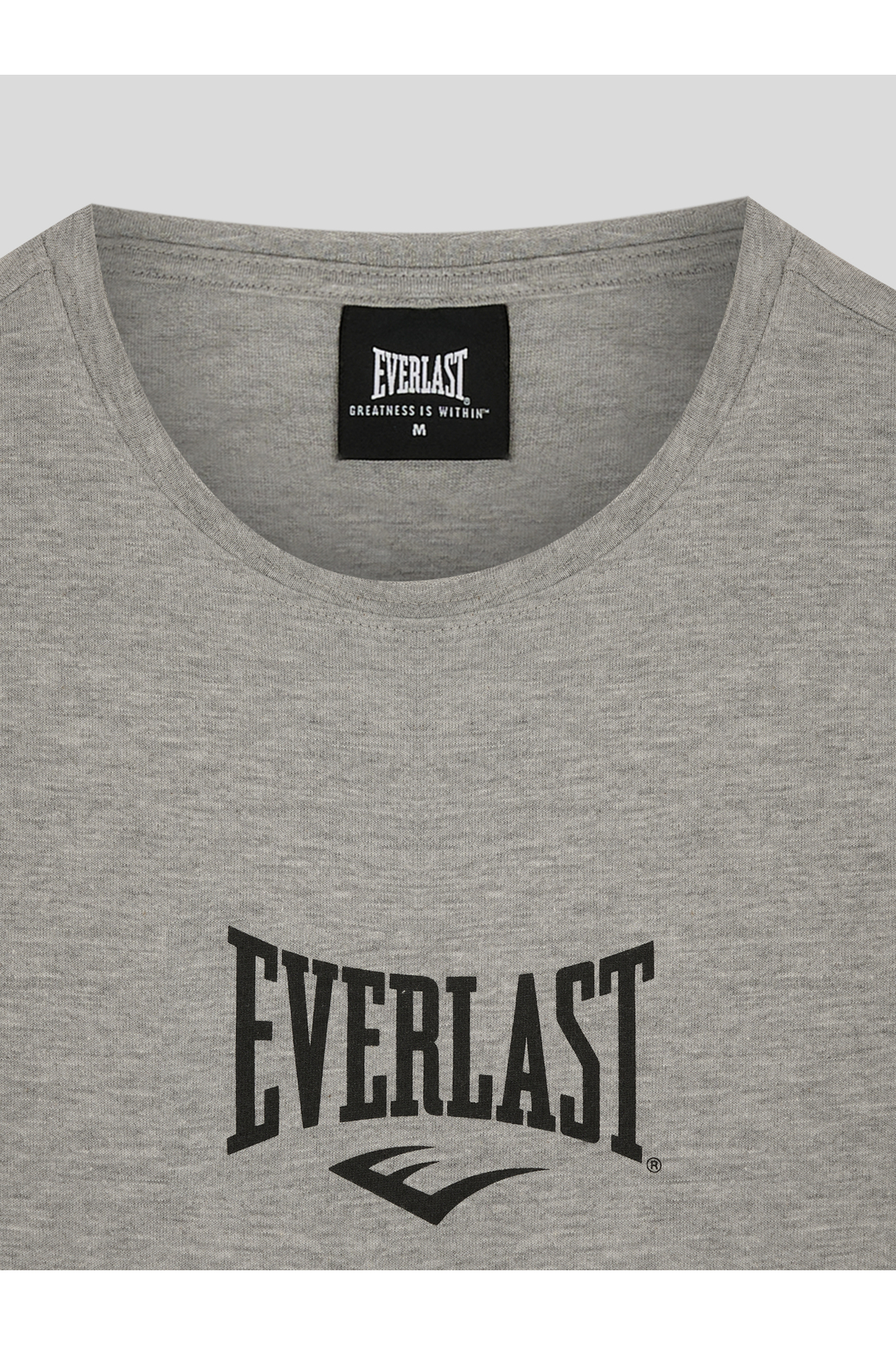 EVERLAST Comp Logo Regular Kesik Yaka Gri Erkek Tişört görsel 3