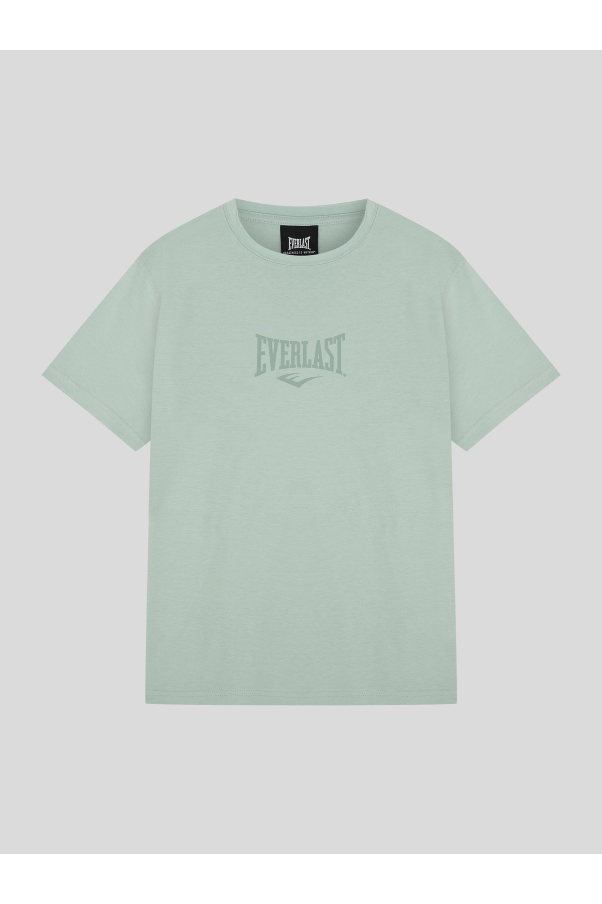 EVERLAST Comp Logo Regular Kesik Yaka Su Yeşili Erkek Tişört