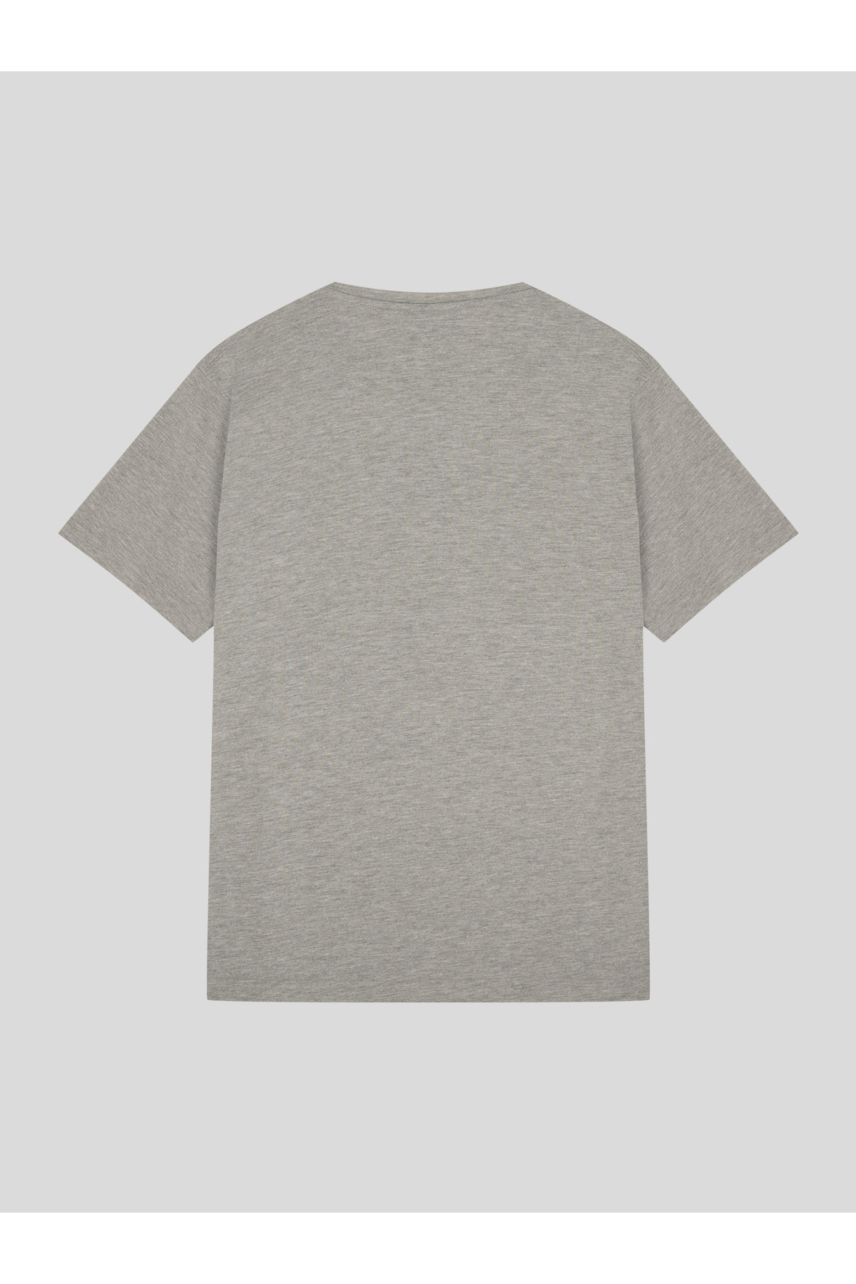 EVERLAST Comp Logo Regular Kesik Yaka Gri Erkek Tişört görsel 2