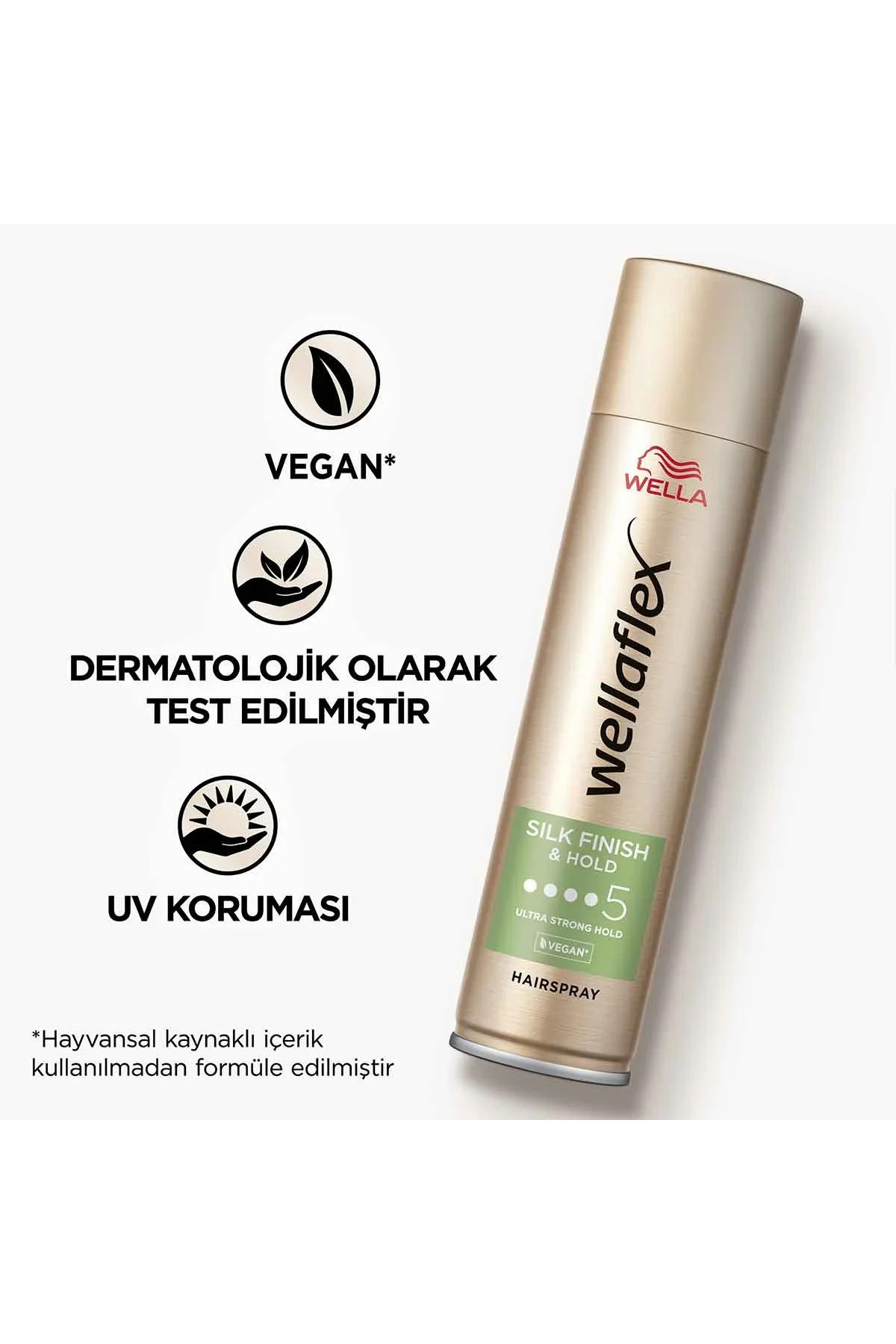 SAÇ SPR.SILK FINISH&HOLD 250ML — SB.SS.0002.21123 — تصویر 5 از 6