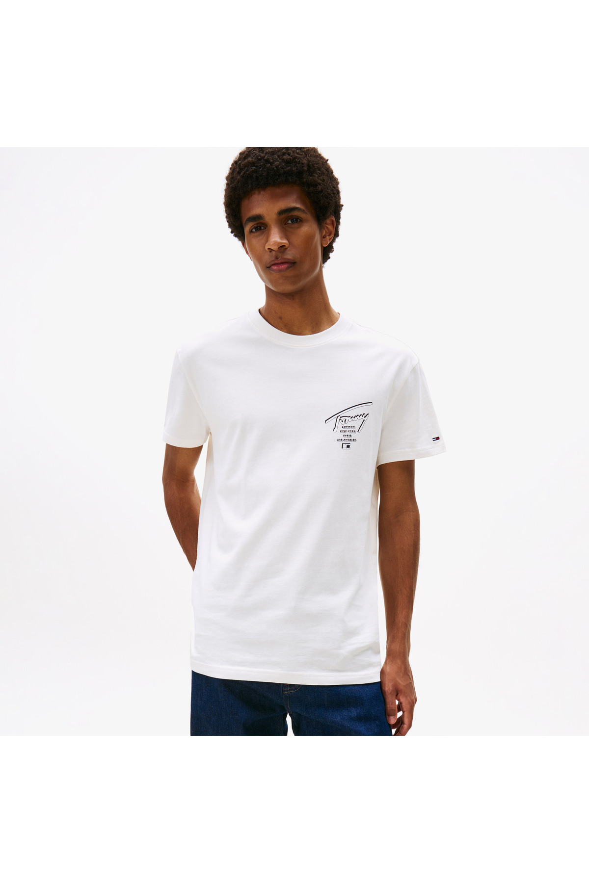 تامی هیلفیگر تی شرت مردانه تامی جینز طرح شهر معمولی