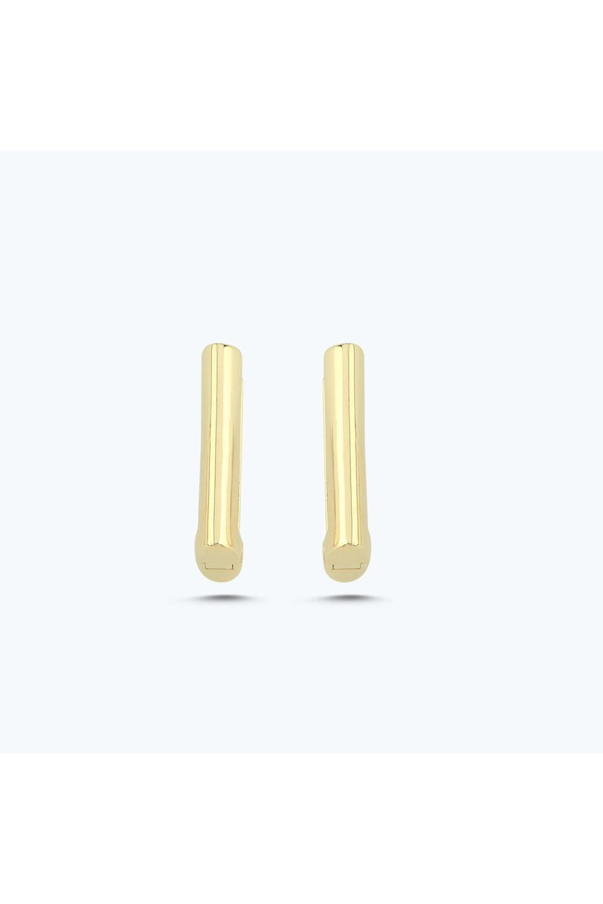 Altınbaş Altın Halka Küpe