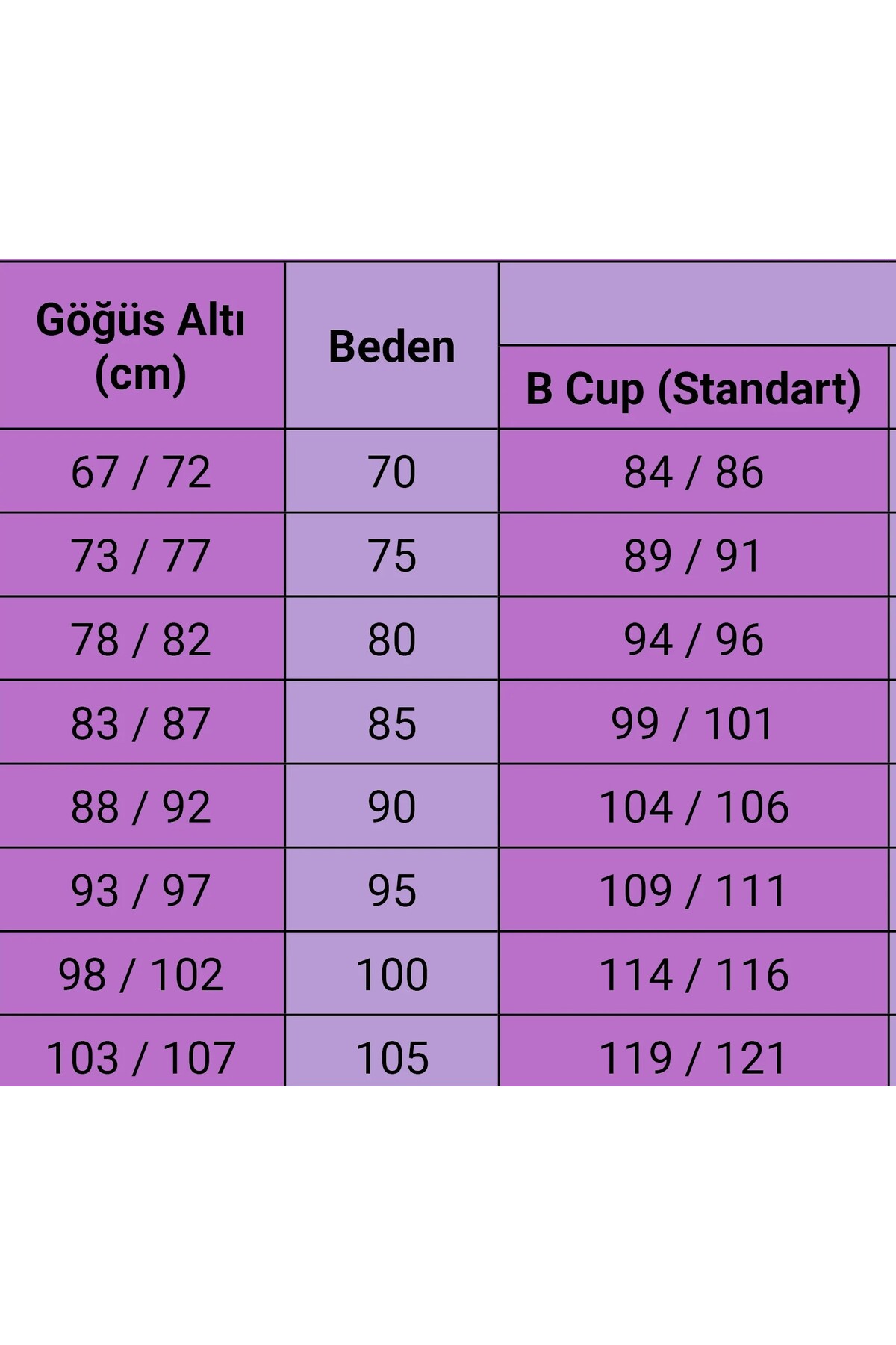 EBRULİ LİNGERİE Silikonlu Desteksiz Dantelli Çapraz Çift İpli Sütyen görsel 6