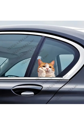 ÖZGÜL REKLAM Camdan Bakan Komik Kedi Sticker / Araç Sticker / Motor Sticker