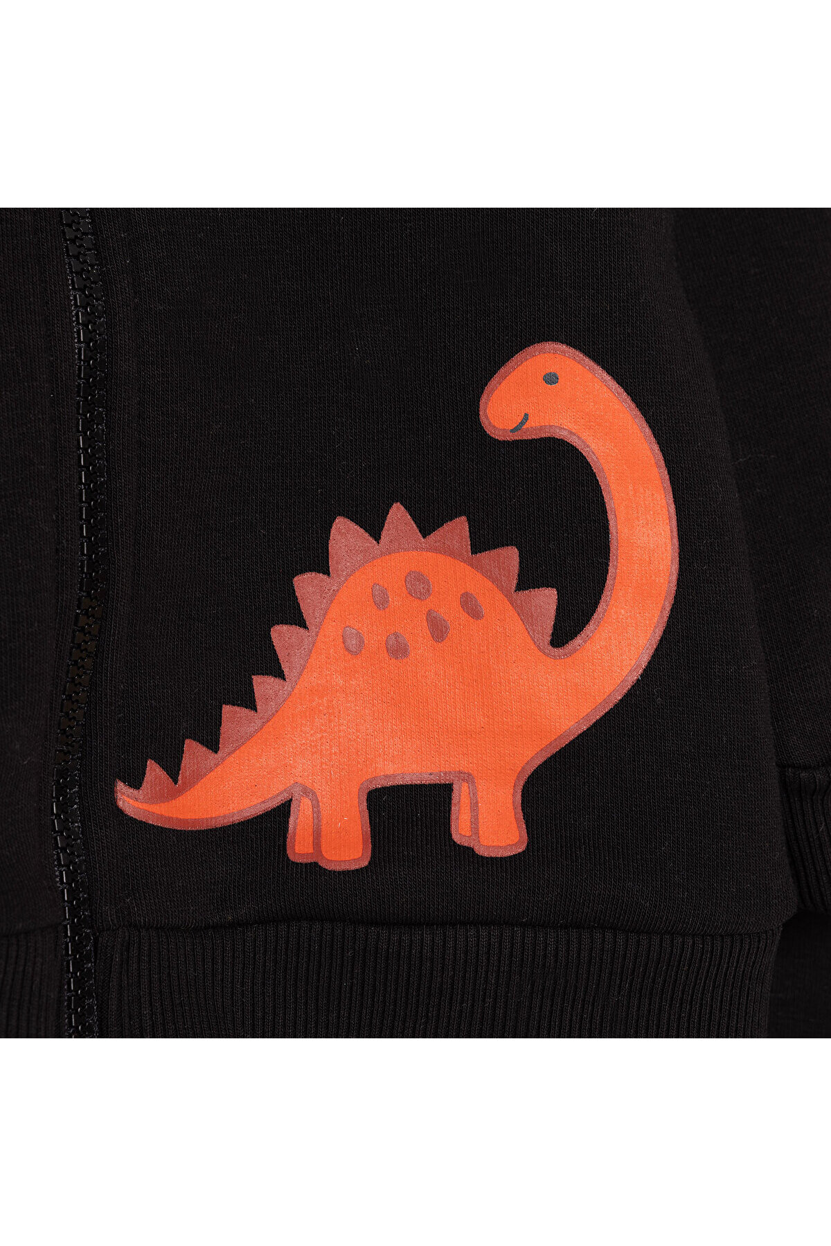 ebebek Hello Baby HelloBaby Erkek Bebek Cool Dino Eşofman Takımı Üç İplik Kapüşonlu Yaka Uzun Kol Ribanalı Paça fotoğrafı 3 (önizleme)