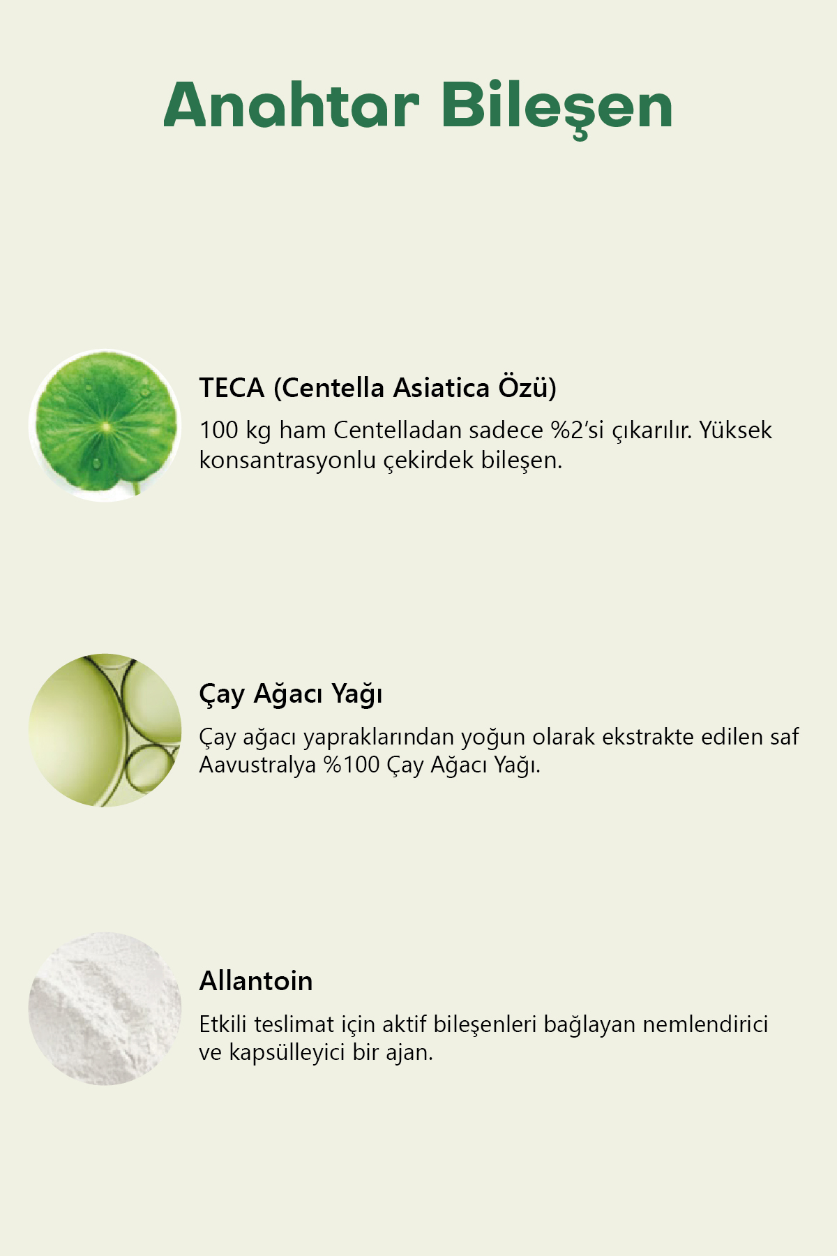 پودر مراقبت از پوست چند منظوره Madeca Powder Tea Tree AC (آکنه، چربی و ظاهر منافذ) 6 گرم — MadecaPowerTeatree — تصویر 7 از 9