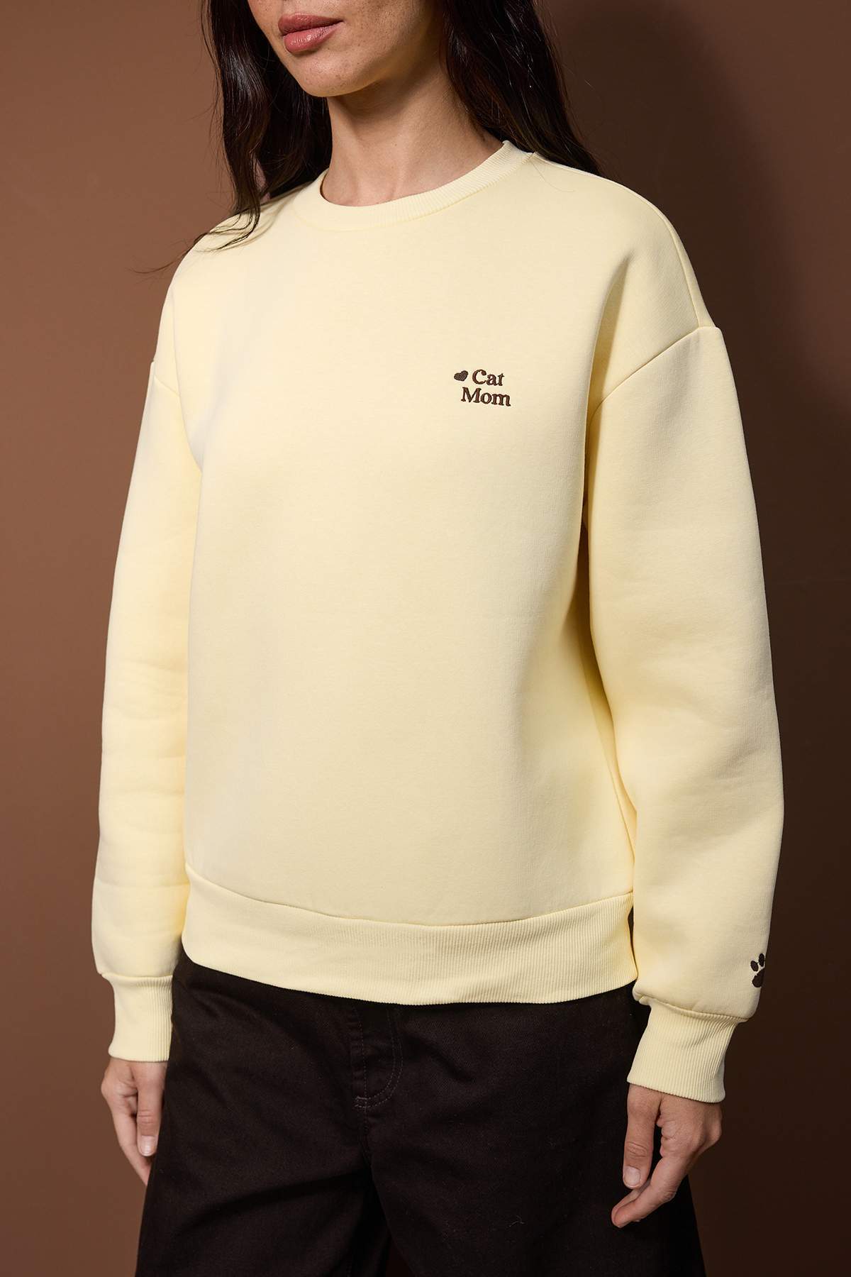 Trendyolmilla  Açık Sarı Regular/Normal Kalıp Nakış Detaylı Kalın İçi Polarlı Örme Sweatshirt TWOAW26SW00200 - Görsel 3