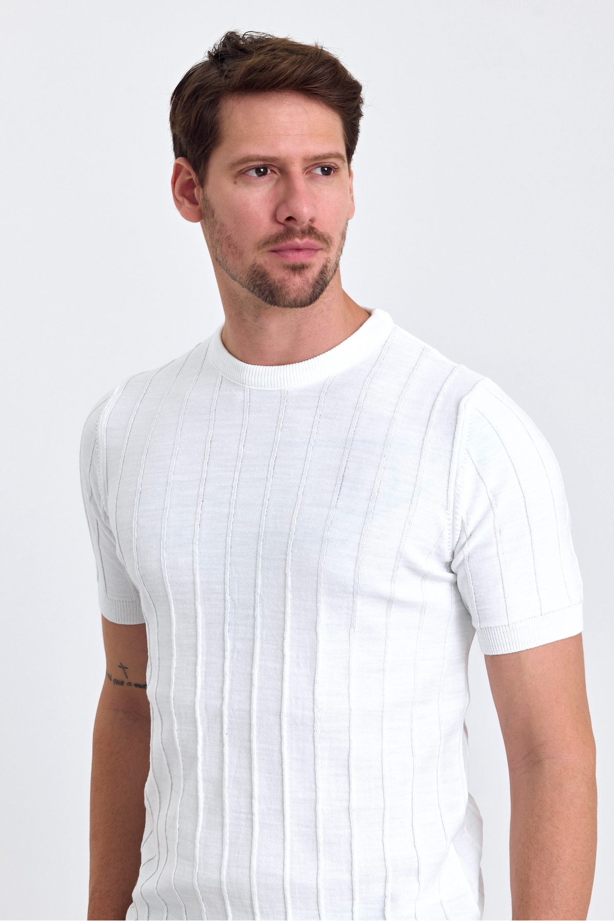 COMBİNE MİCHAİL Beyaz Bisiklet Yaka Triko Erkek T-shirt görsel 5