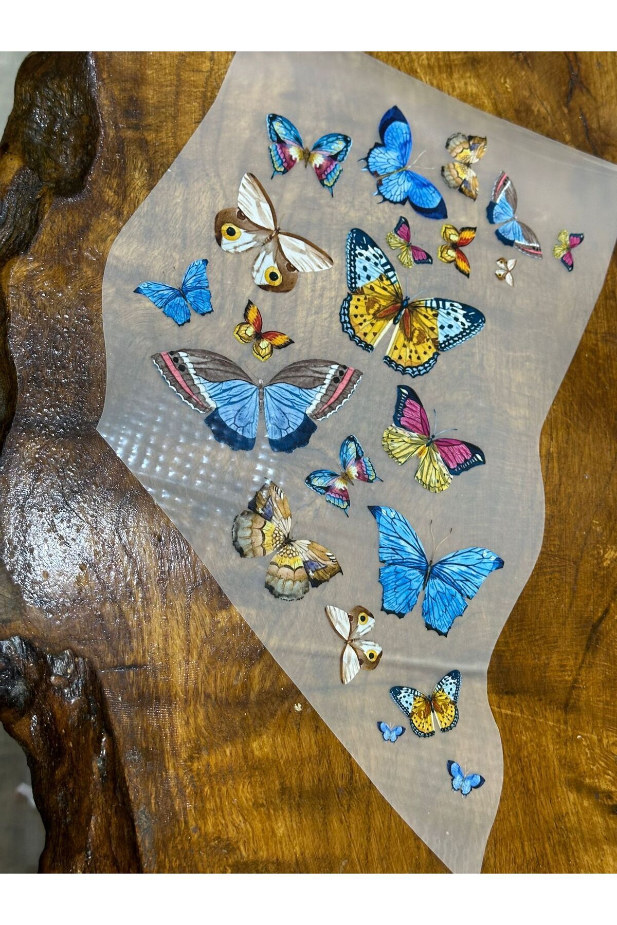 Gönülden Tasarım KESİLEBİLİR KELEBEKLER ÜTÜ İLE YAPIŞAN TRANSFER BASKI ARMA 31X21 CM