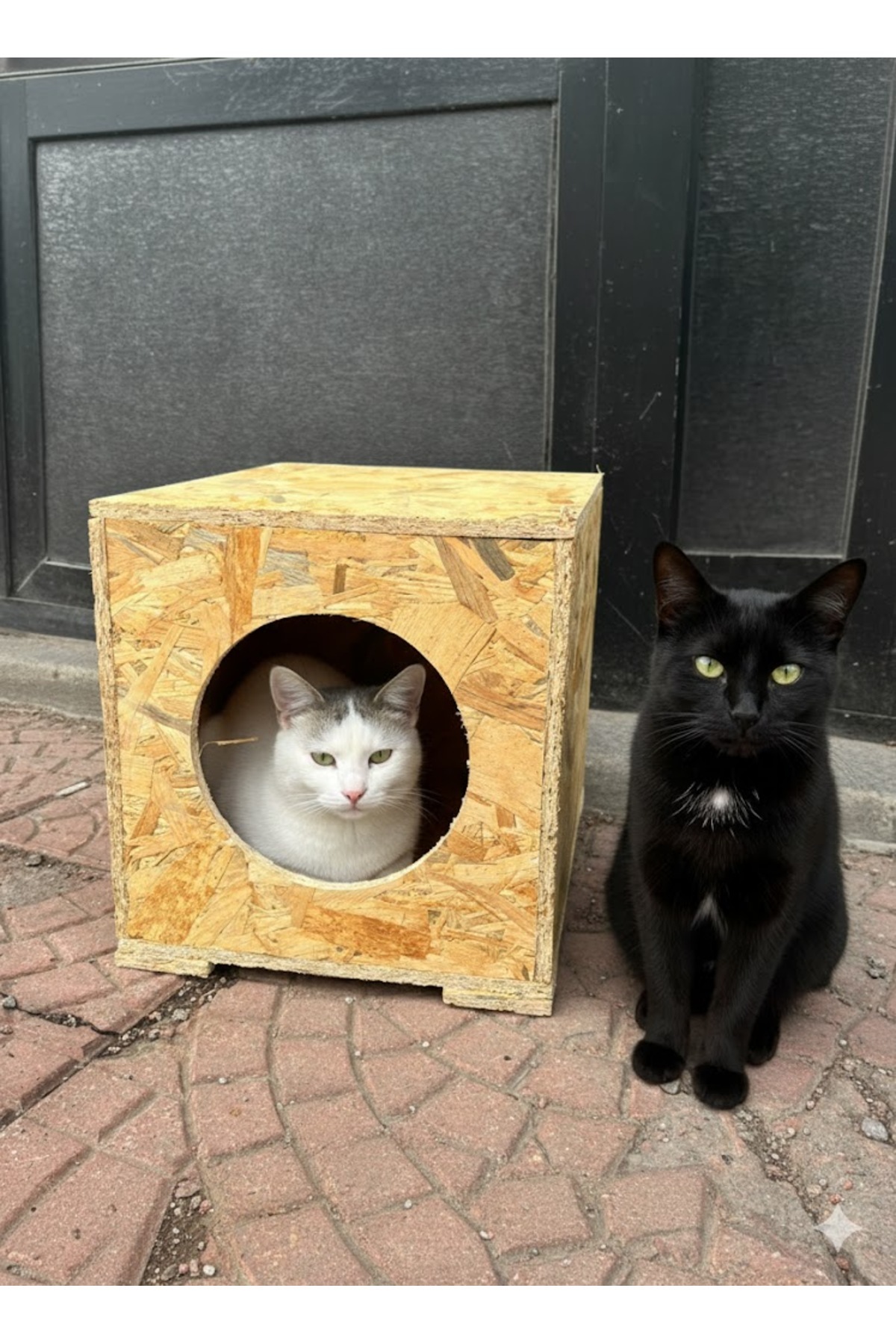 Renkli Home Dış Mekan Yağmura Ve Soğuğa Dayanıklı Osb Kedi Evi