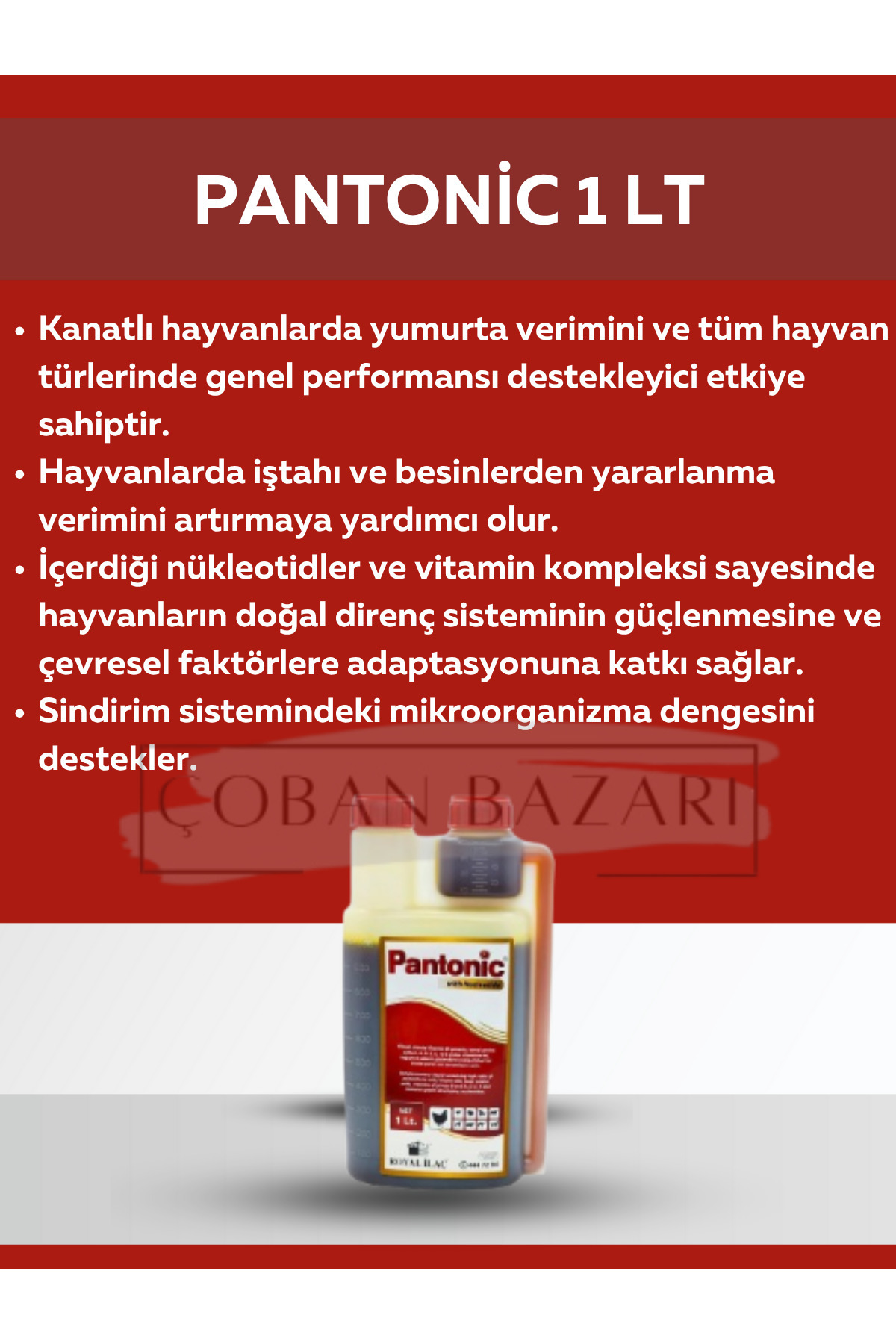 Genel Markalar Royal İlaç Pantonic 1 Lt. Vitamin ve Mineral Desteği