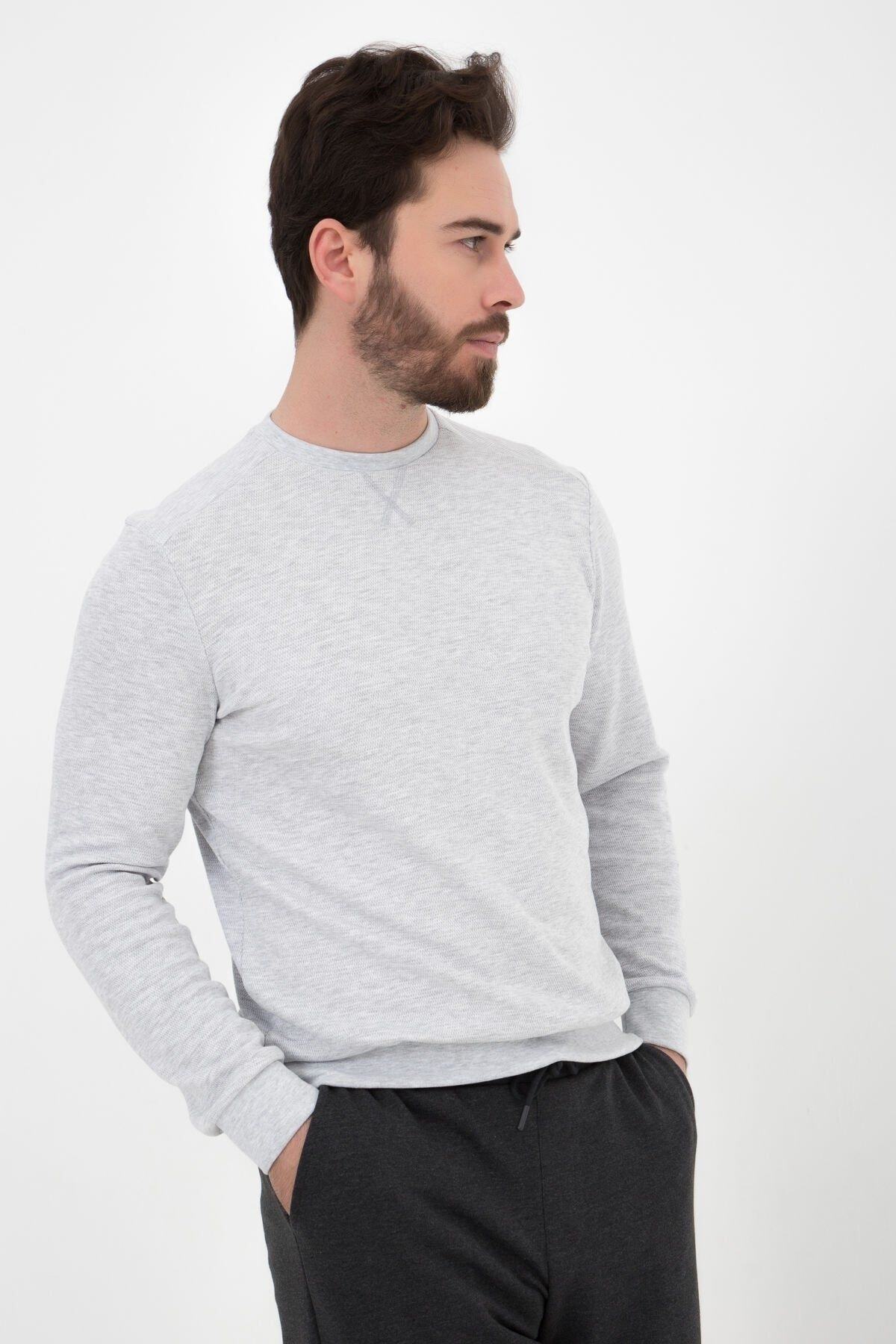 defys  Erkek Bisiklet Yaka Dokulu Regular Fit Basic Sweatshirt Gri Melanj - Görsel 3