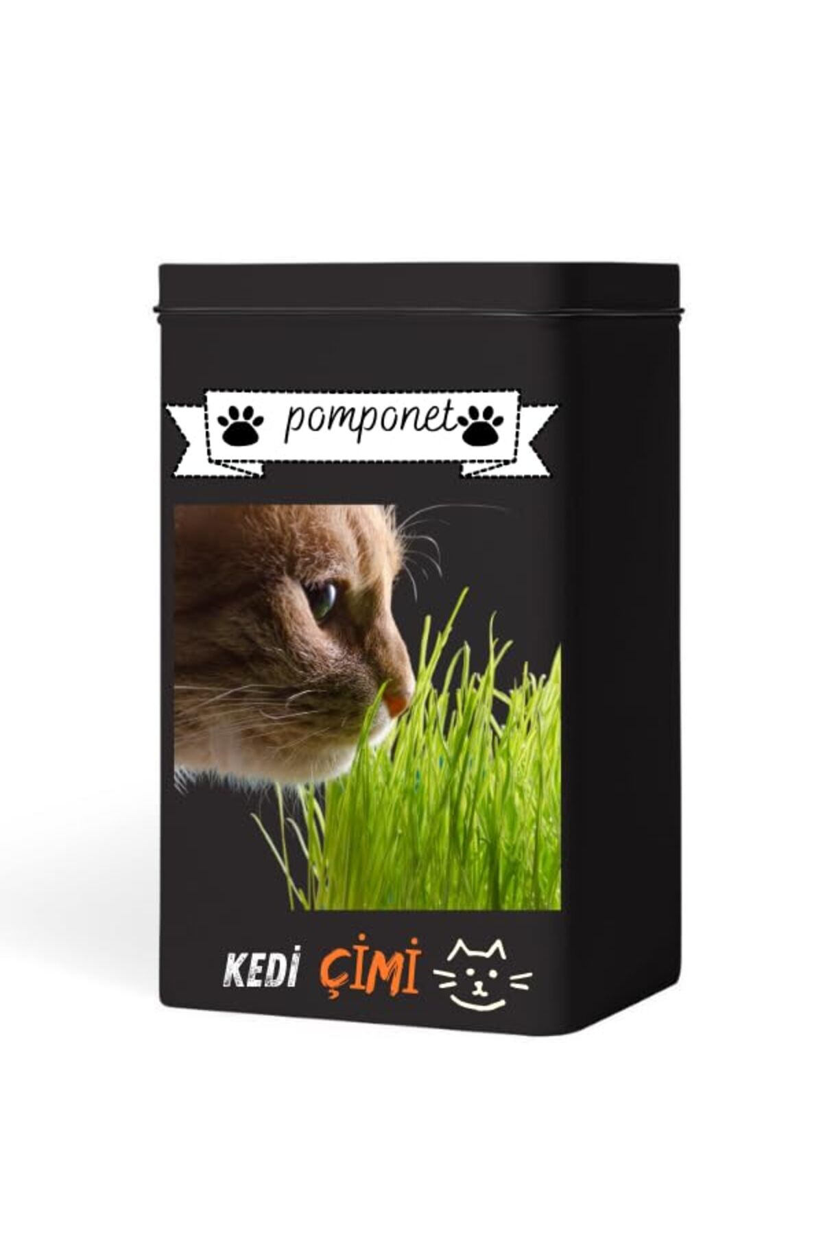 Hype Store Evde Kolay Yetiştirme – Pomponet Kedi Çimi ile Yıl Boyu Yeşillik!