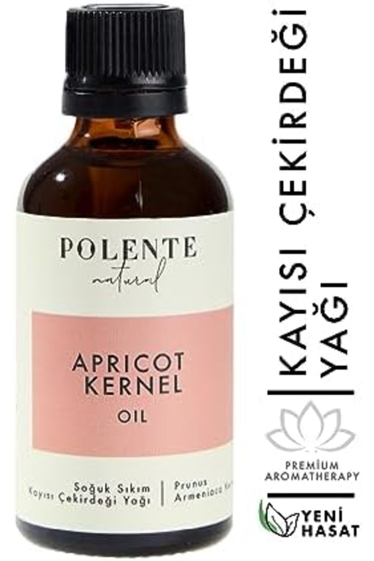 STOREMAX Polente Natural - Kayısı Çekirdeği Yağı - Soğuk Sıkım (50 ml) 1178367