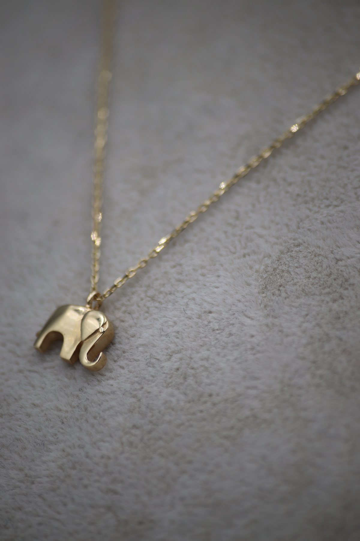 Cevdet 14 Ayar Altın Kolye