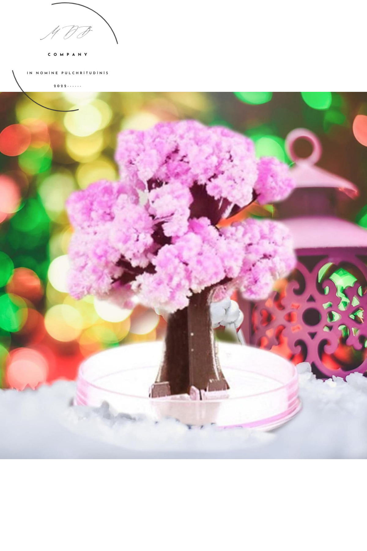 FORSEİ LUCA Yapay Sakura Süsü Dekoratif Su ile Büyüyen Sakura Mini