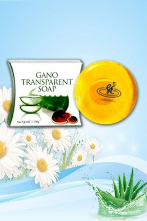 Gano Transparent Soap Ganoderma Mantarlı Şeffaf Sabun 100 Gr sabuntrans