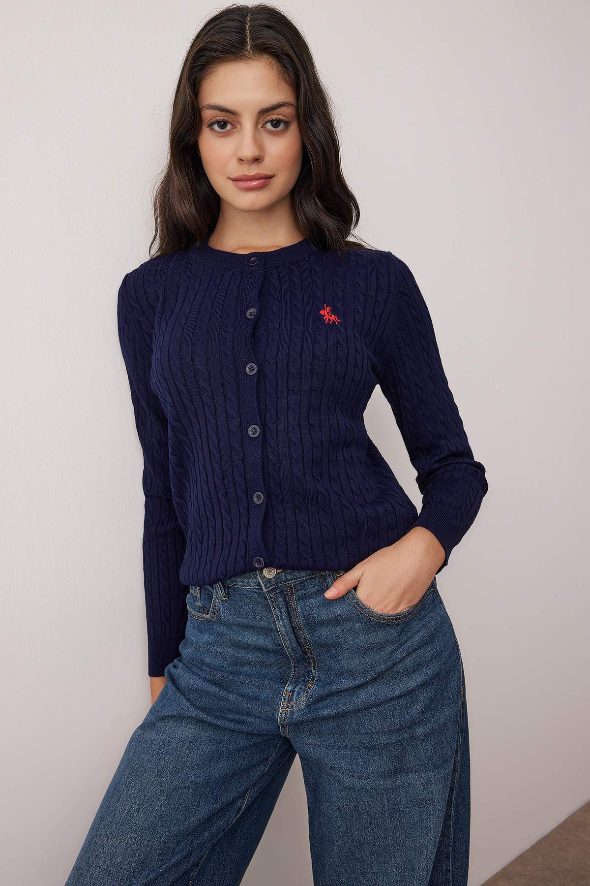 Trendyolmilla  Lacivert At Nakışlı Saç Örgü İnce Triko Hırka TWOAW26HI00289