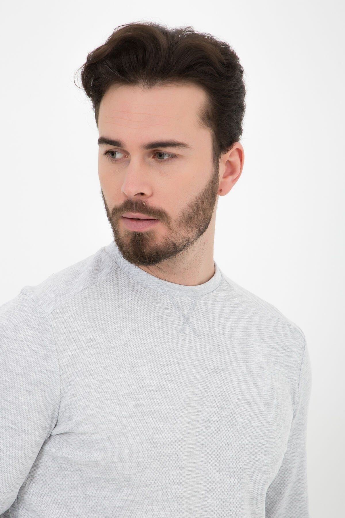 defys  Erkek Bisiklet Yaka Dokulu Regular Fit Basic Sweatshirt Gri Melanj - Görsel 5