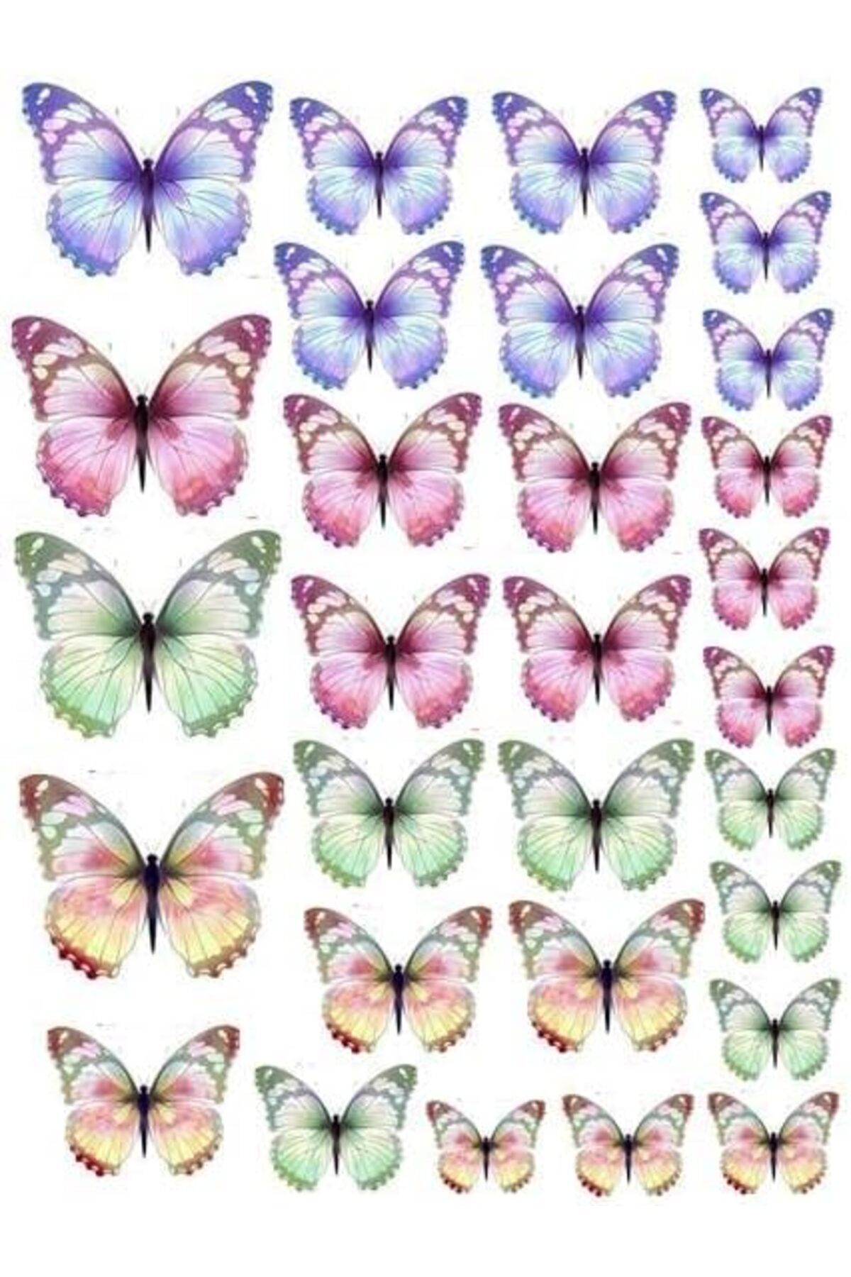 salesalbutik VİTRİNİ Renkli Kelebekler Temalı Yenilebilir Resimli Pasta Kurabiye Üstü Gofret Plaka Baskısı