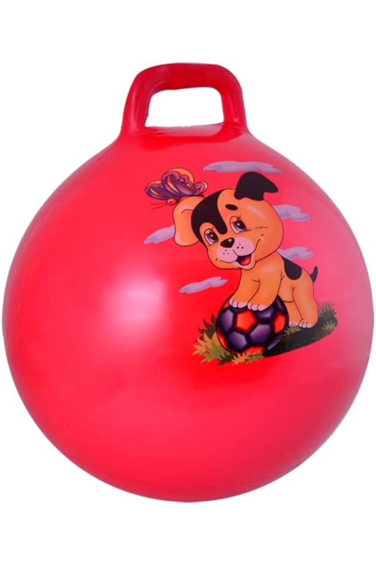 salesalbutik 55 Cm (450 Gr) Tutmali Pilates Topu