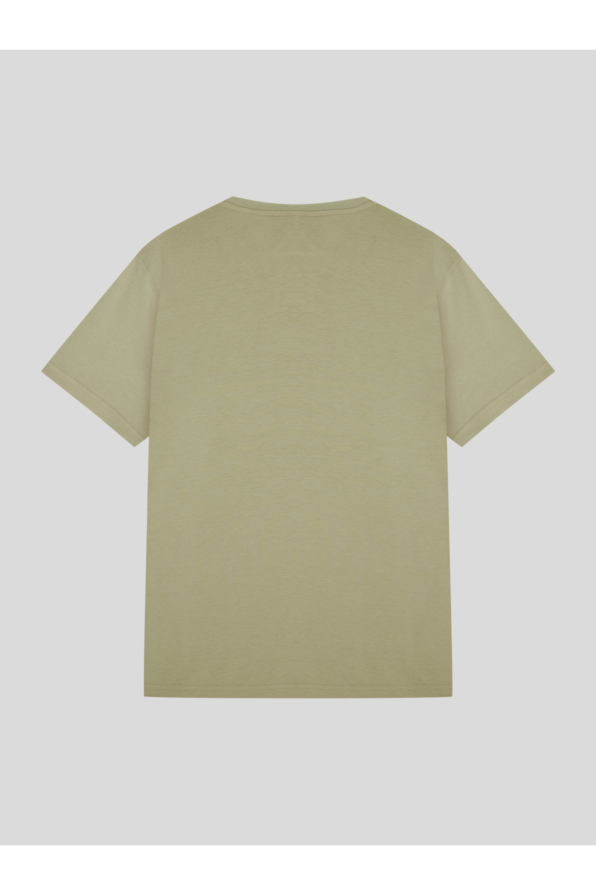 EVERLAST Comp Logo Regular Kesik Yaka Çay Yeşili Erkek Tişört görsel 2
