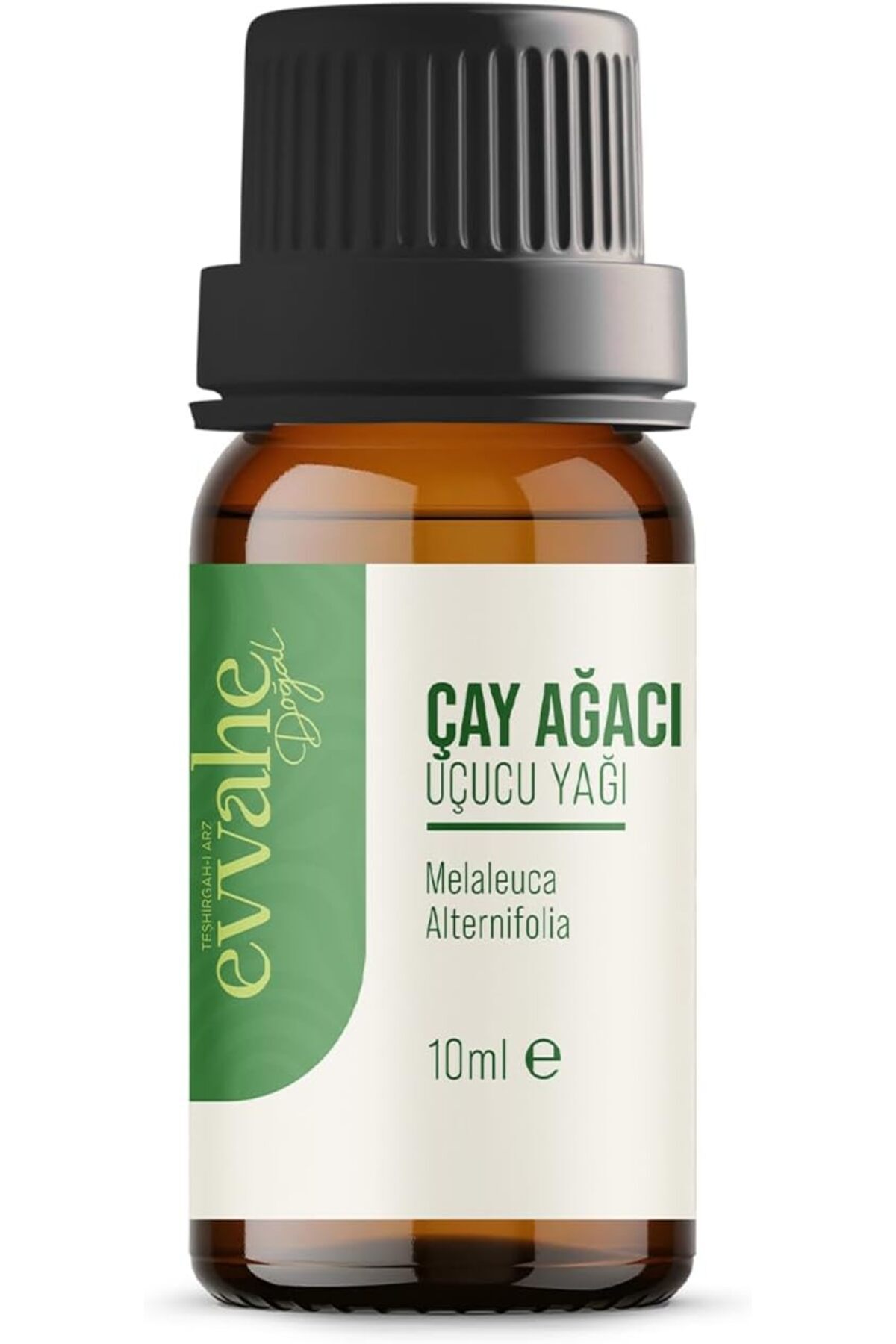 STOREMAX Evvahe Doğal Çay, Ağacı, Yağı, (10ml.) 1175735
