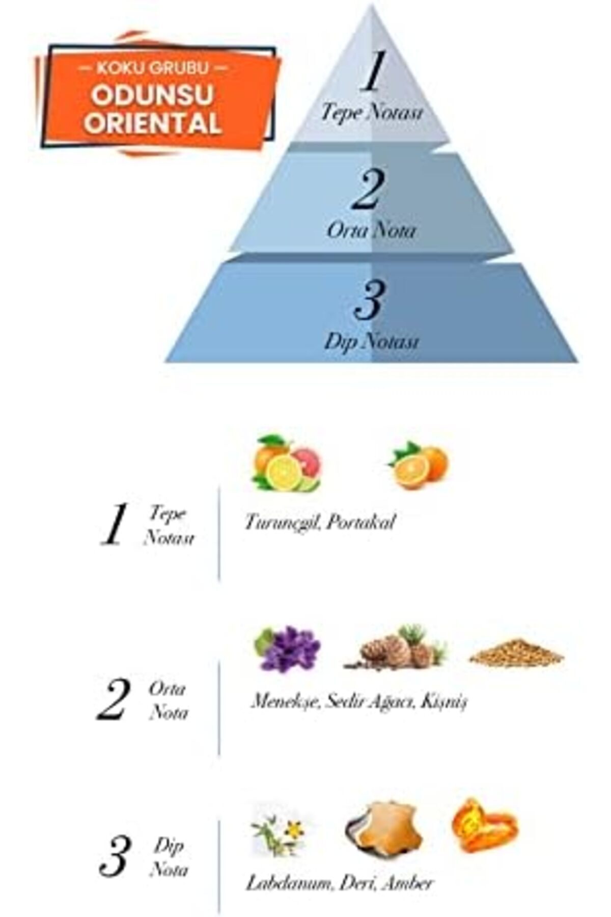 STOREMAX Prova Bravo EDP Erkek Parfüm 120 ml 1182297