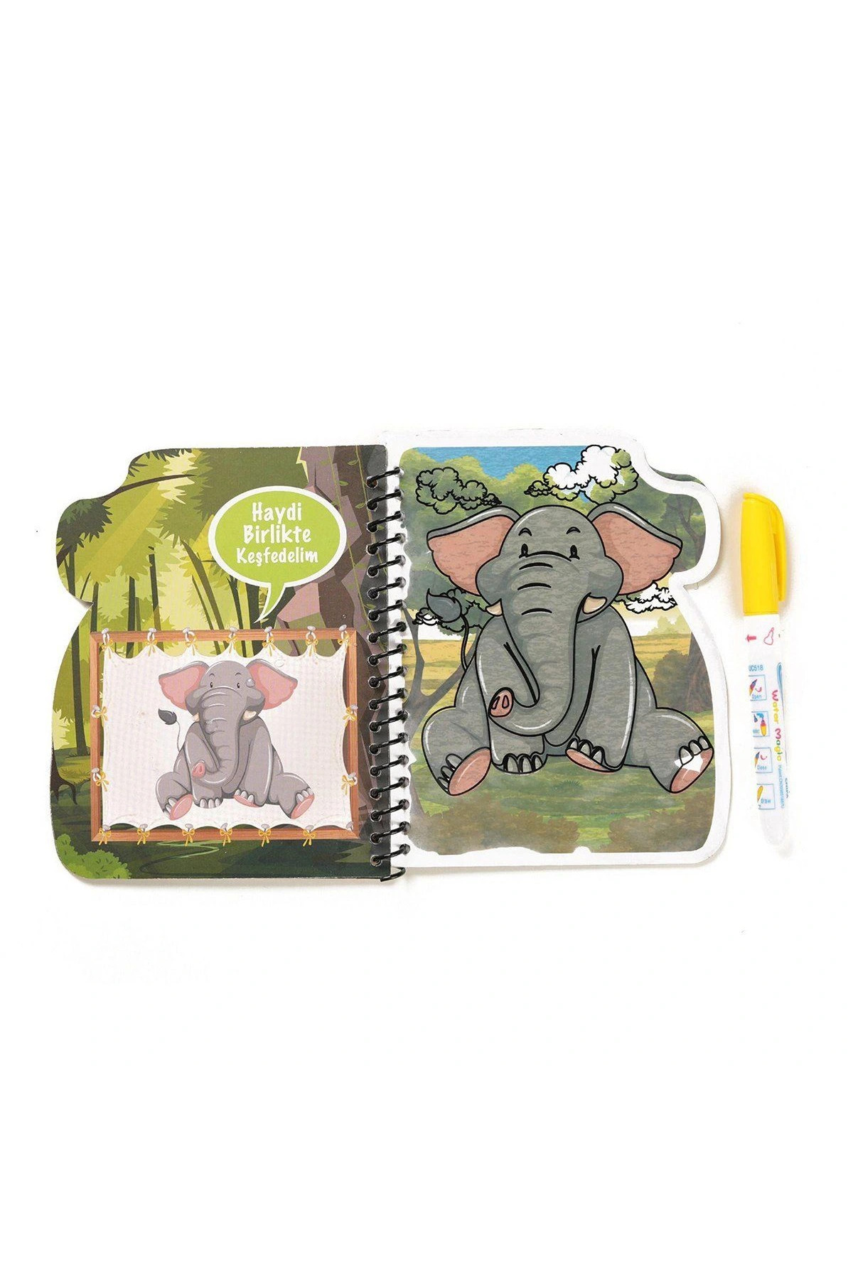 BK002 گپتوئیس، انواع کتاب رنگ‌آمیزی جادویی