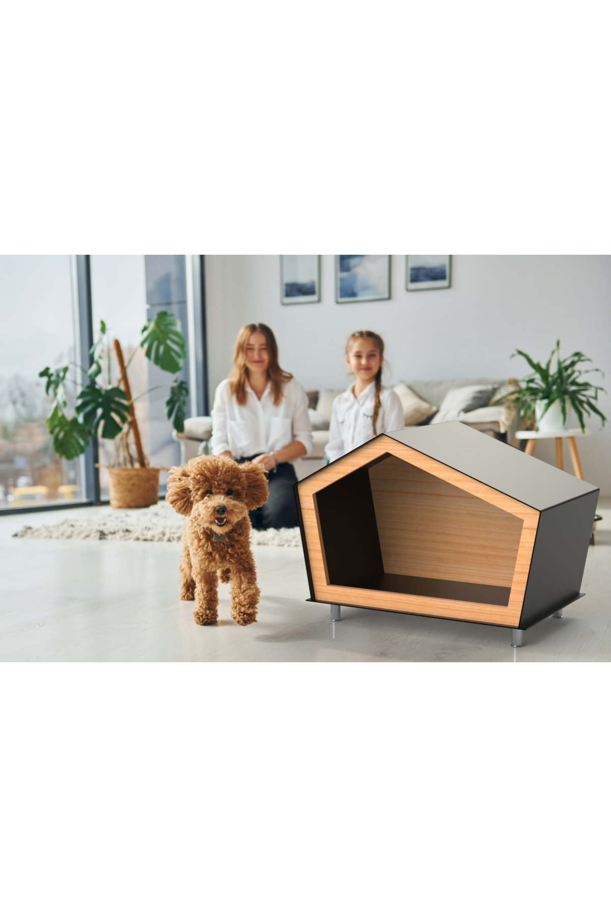 StilCreative Premium Modern Tasarım Kedi & Köpek Kulübesi | 4 Mevsim Dayanıklı Kompozit | Ahşap İç Aksam