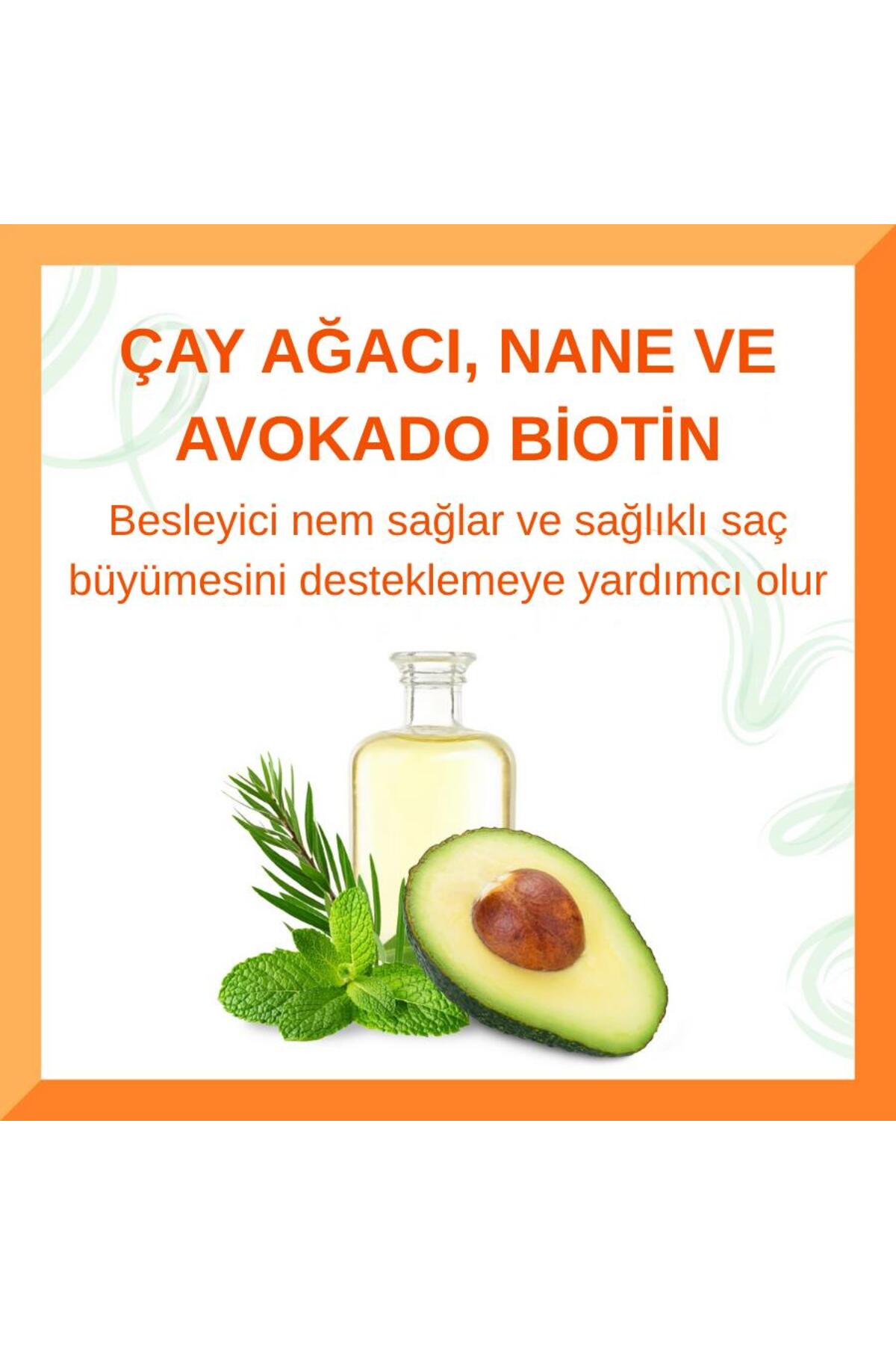 Saç ve Saç Derisi Yağı – Biotin Destekli Saç Uzamasında Etkili (59 ml) — 08385-12/3BEUS — تصویر 5 از 8