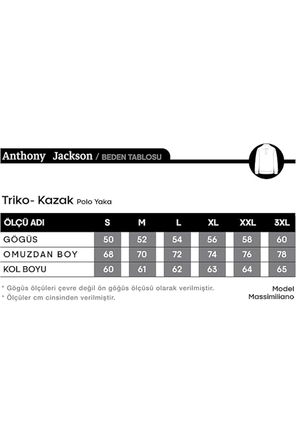 ANTHONY JACKSON Premium Erkek Polo Yaka Triko Kazak Massimiliano görsel 5