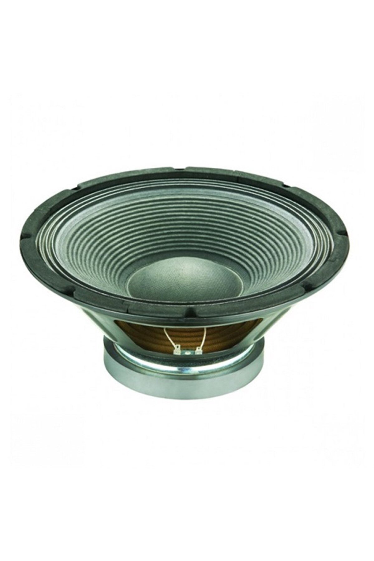 TVM PA-0808 20 cm Tiz Karakter Hoparlör – 200W / 8 Ohm - Fiyatı