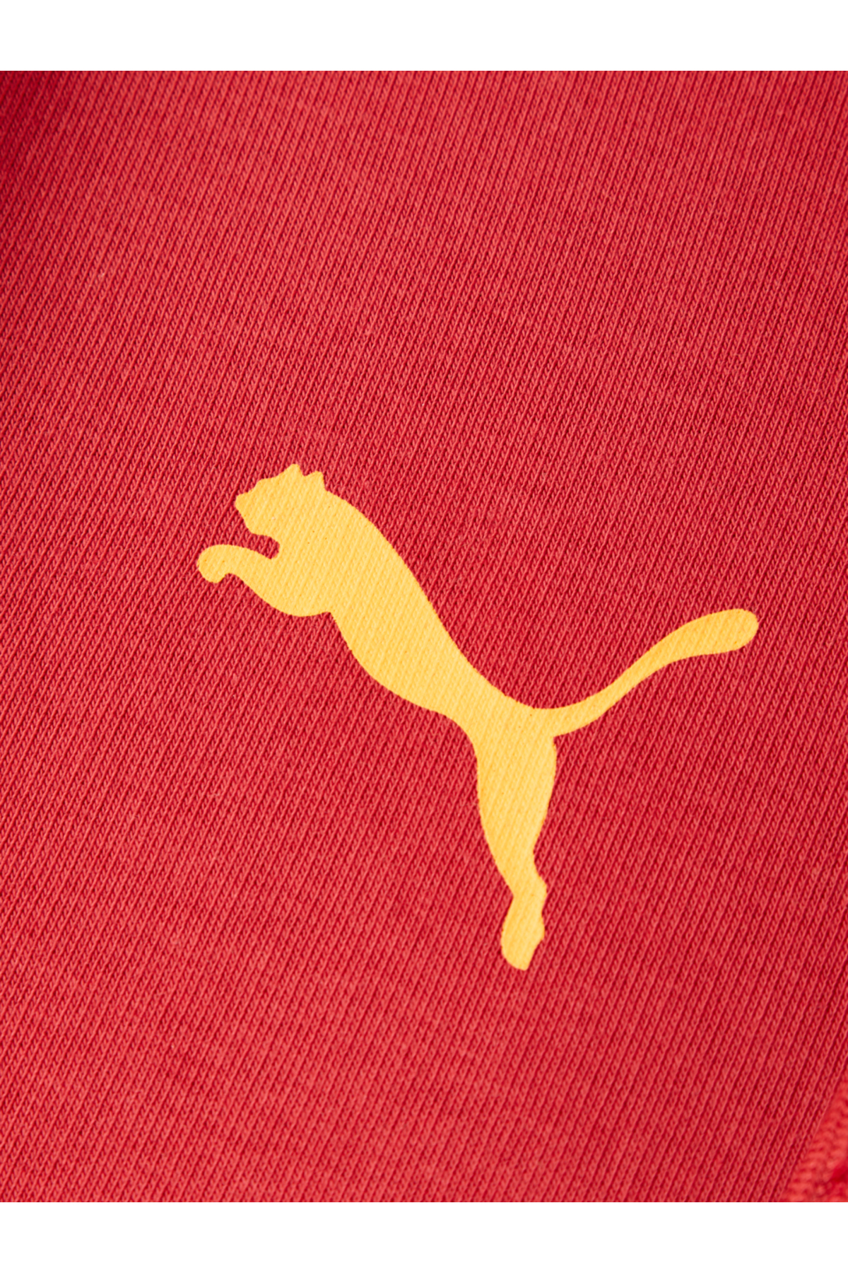 Galatasaray Puma Fermuarlı Kapüşonlu Sweatshirt 78291001 — قرمز — تصویر 5 از 8