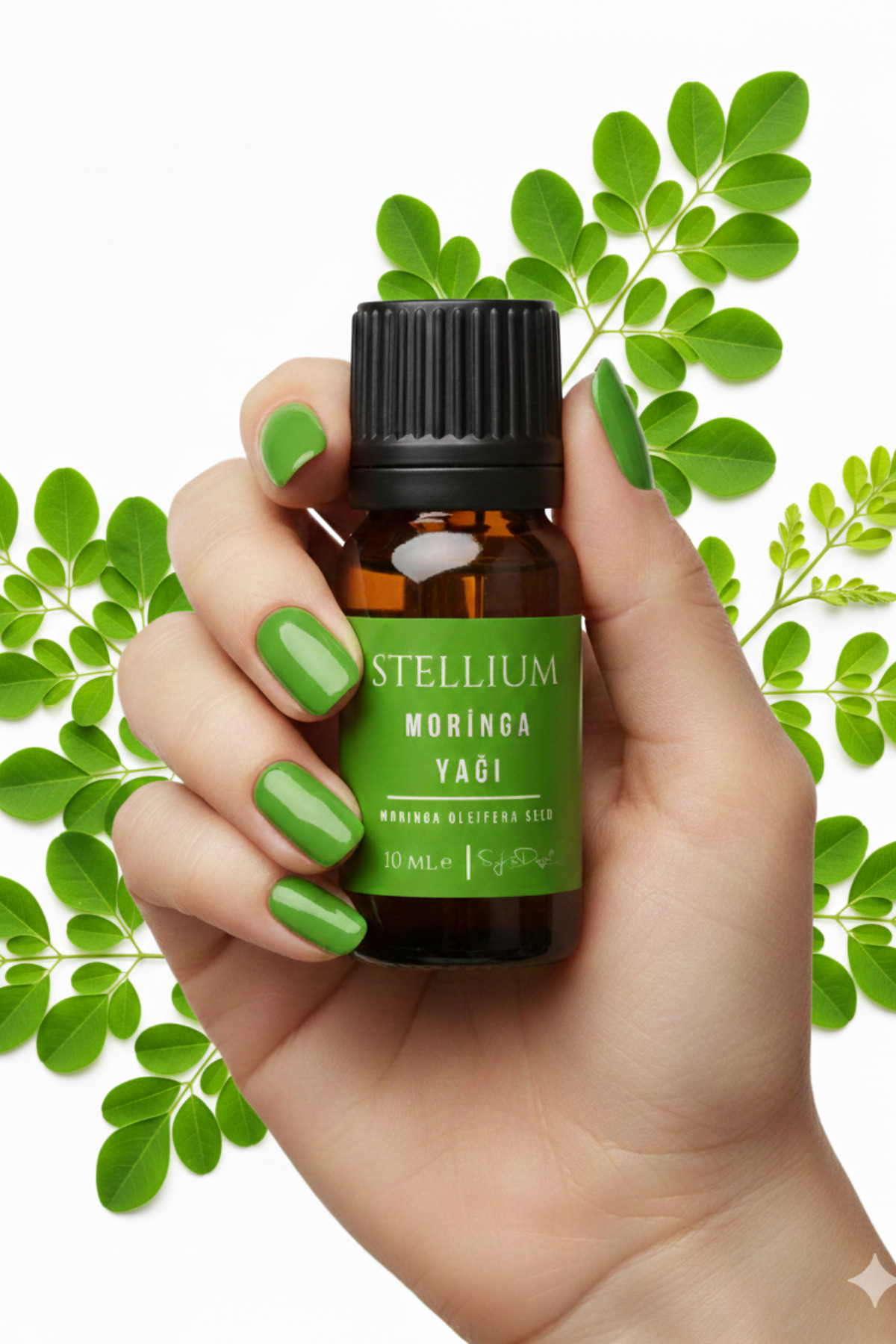 Moringa Yağı Soğuk Sıkım %100 Saf ve Doğal- 10 ml — TYCV4T074N170427947681964 — تصویر 3 از 6