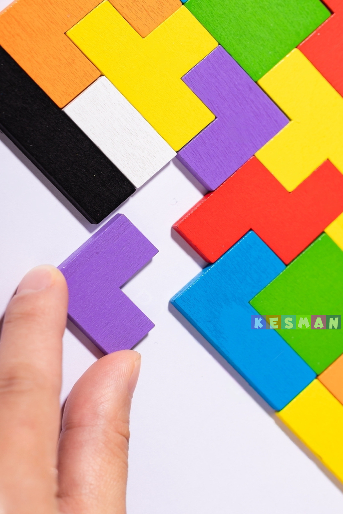 Kesman Kitap Montessori Ahşap Tetris & Blok Puzzle Zeka Oyuncağı Seti fotoğrafı 5 (önizleme)